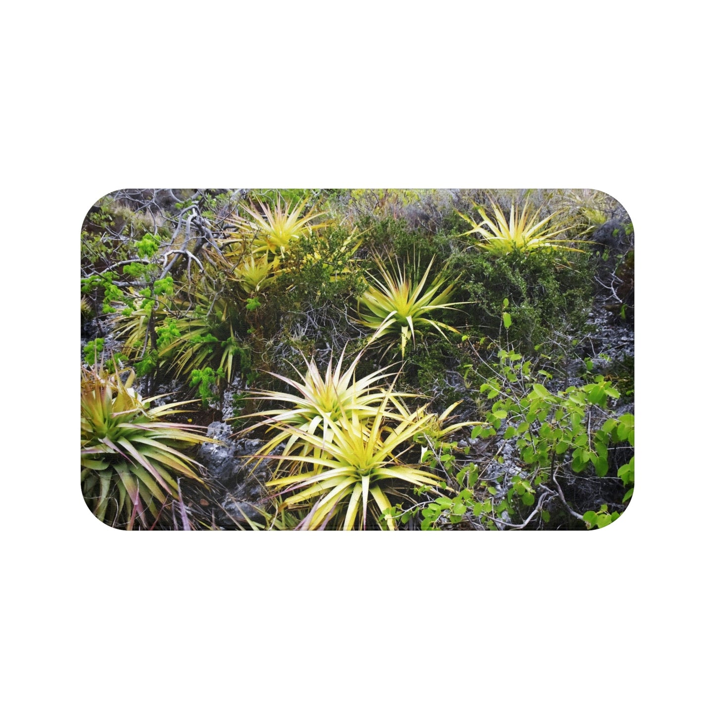 Bath Mat - Mona island desertic plants in upper plateau - Mona island PR - Green Forest Home