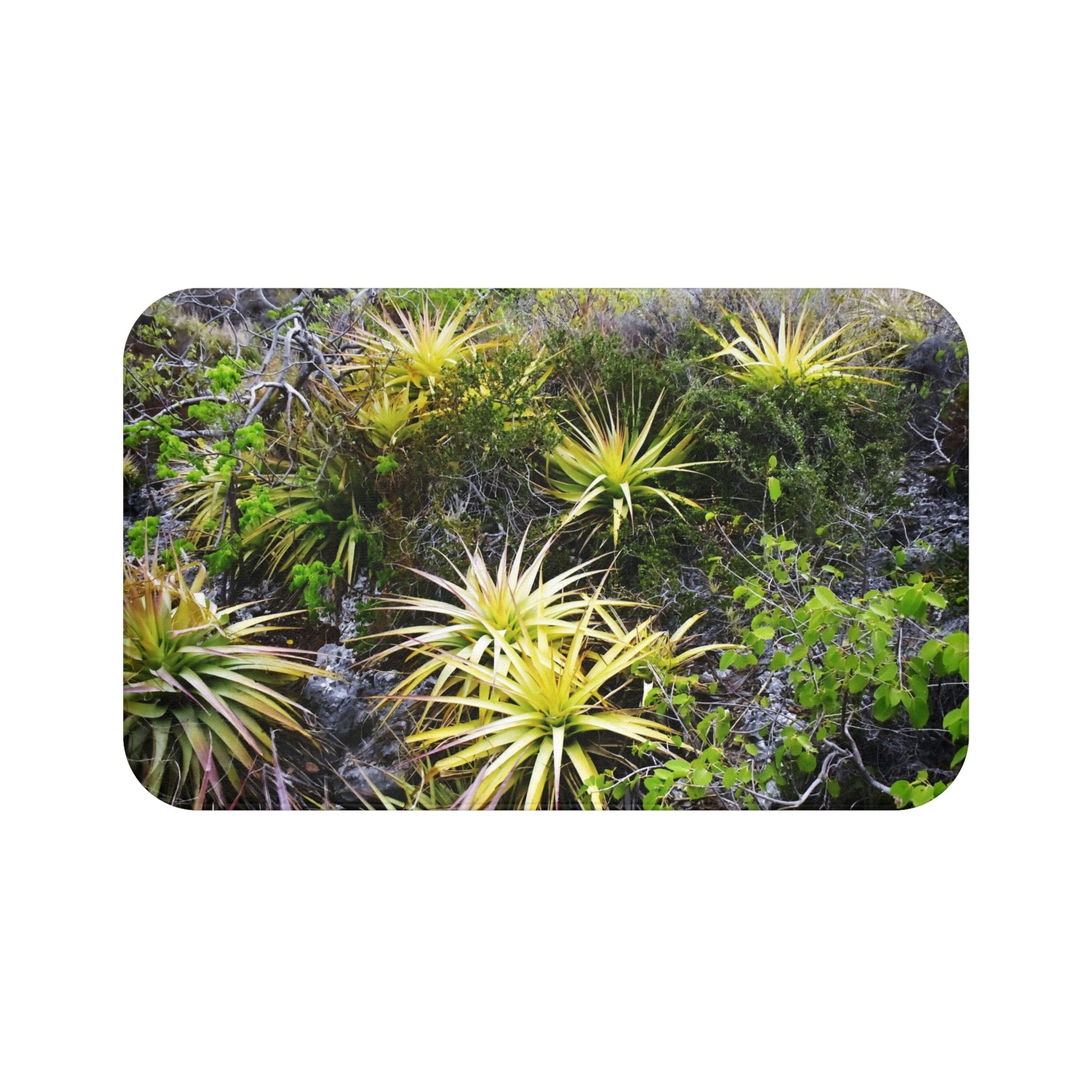 Bath Mat - Mona island desertic plants in upper plateau - Mona island PR - Green Forest Home