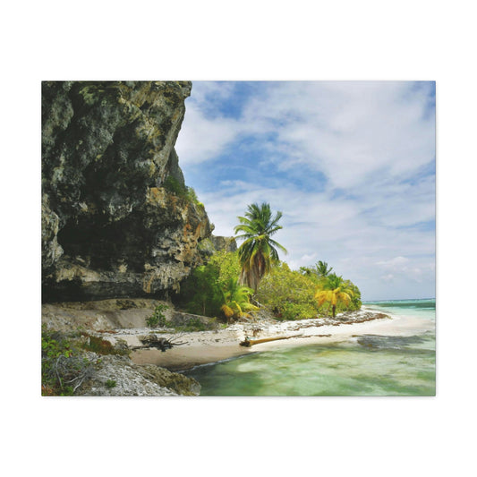 Breathtaking Mona Island off Puerto Rico - the Galapagos of the Caribbean - Thrilling Pajaros beach - Green Forest Home