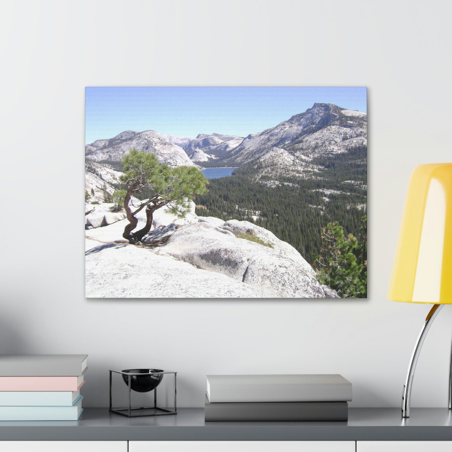 Canvas Gallery Wraps - The US National Parks - Yosemite Park peaks next to Tuolmne Meadows - California - USA NPS