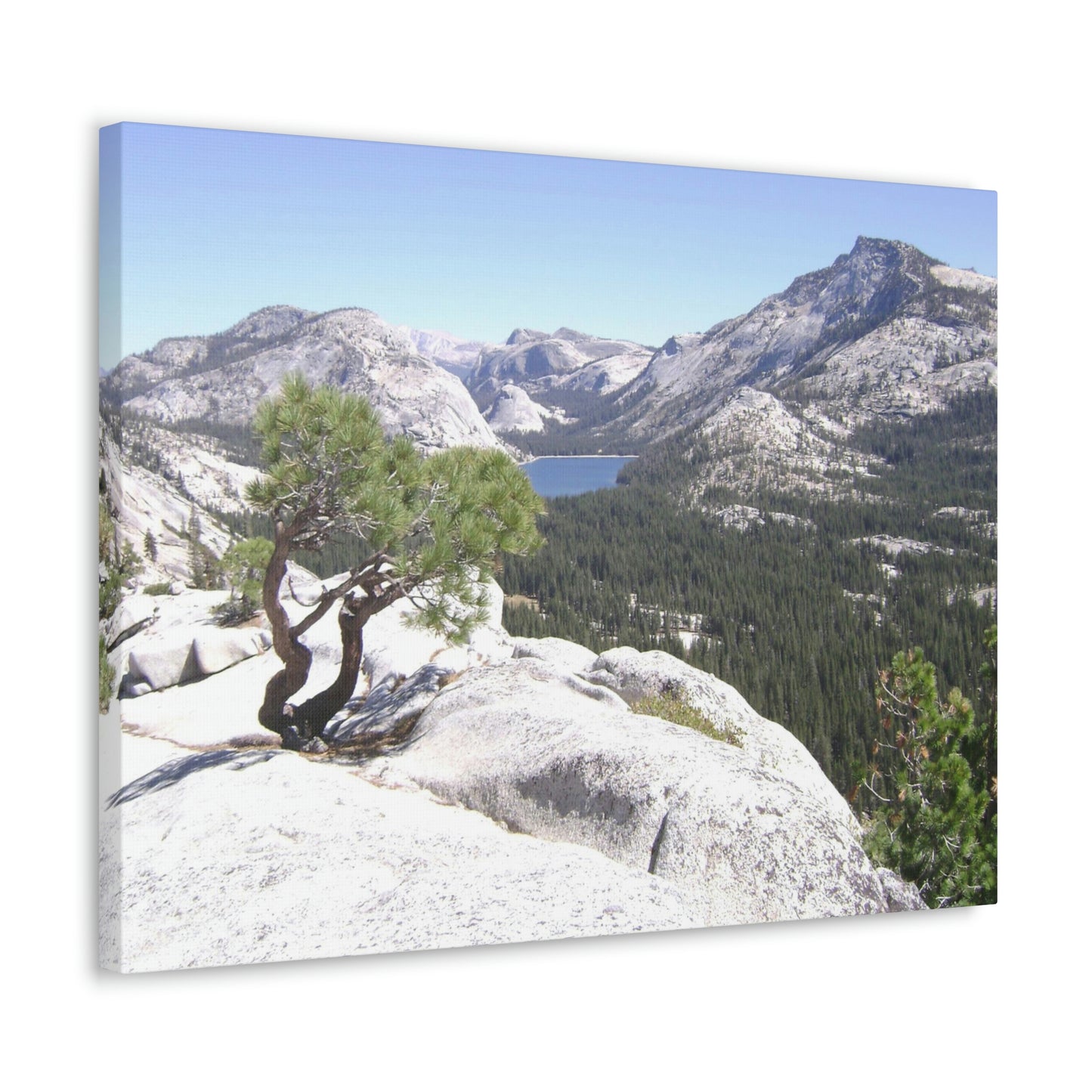 Canvas Gallery Wraps - The US National Parks - Yosemite Park peaks next to Tuolmne Meadows - California - USA NPS