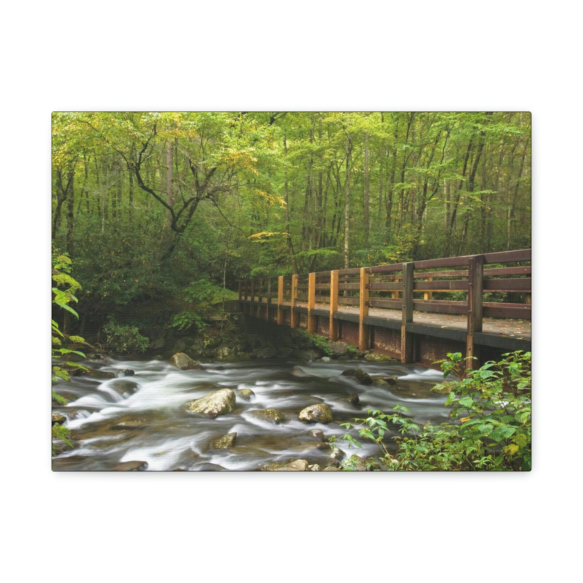 Canvas Gallery Wraps - Bridge over placid mountain stream in Smoky Mountain National Park in Summer in Mountain National Park (SMNP) USA - Green Forest Home