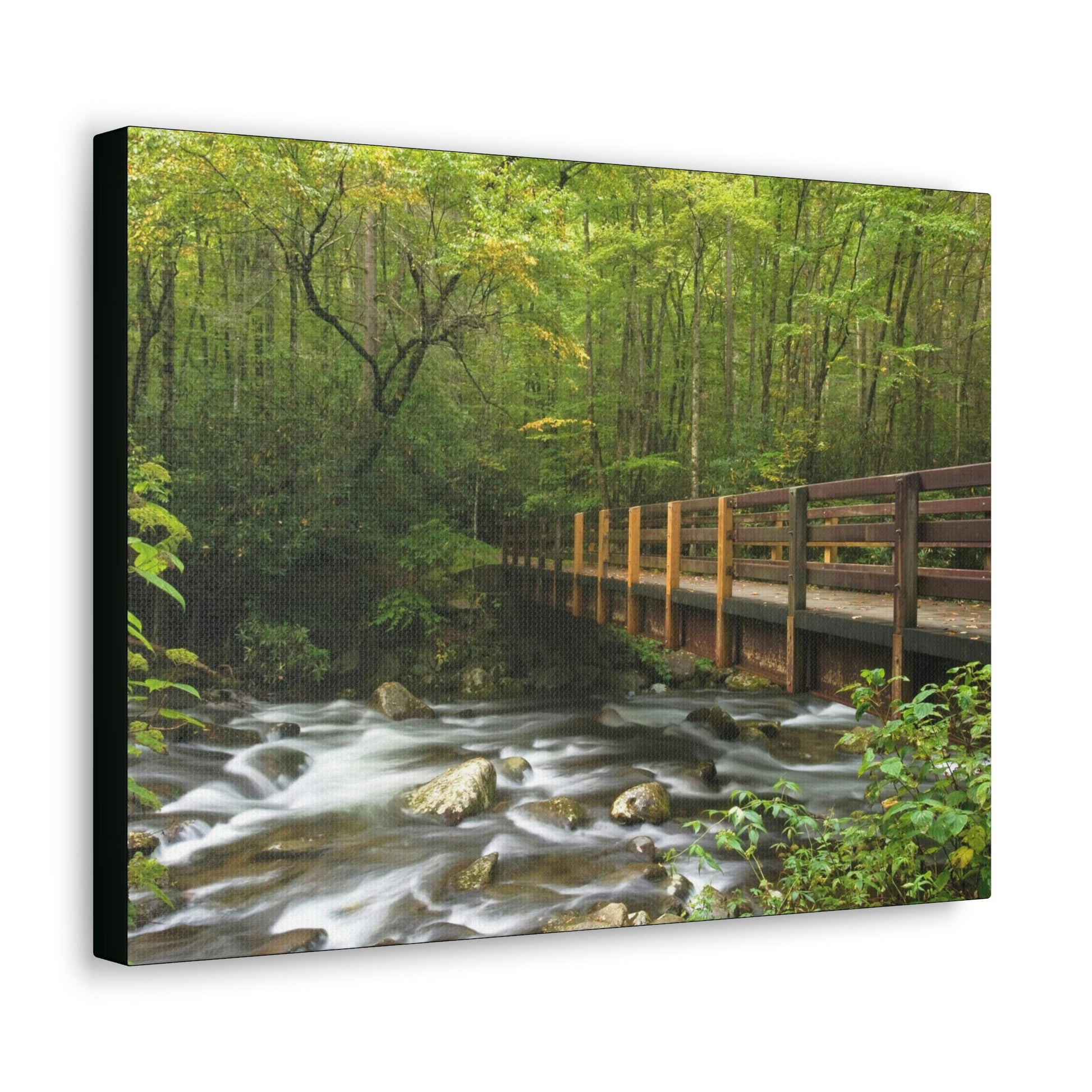 Canvas Gallery Wraps - Bridge over placid mountain stream in Smoky Mountain National Park in Summer in Mountain National Park (SMNP) USA - Green Forest Home