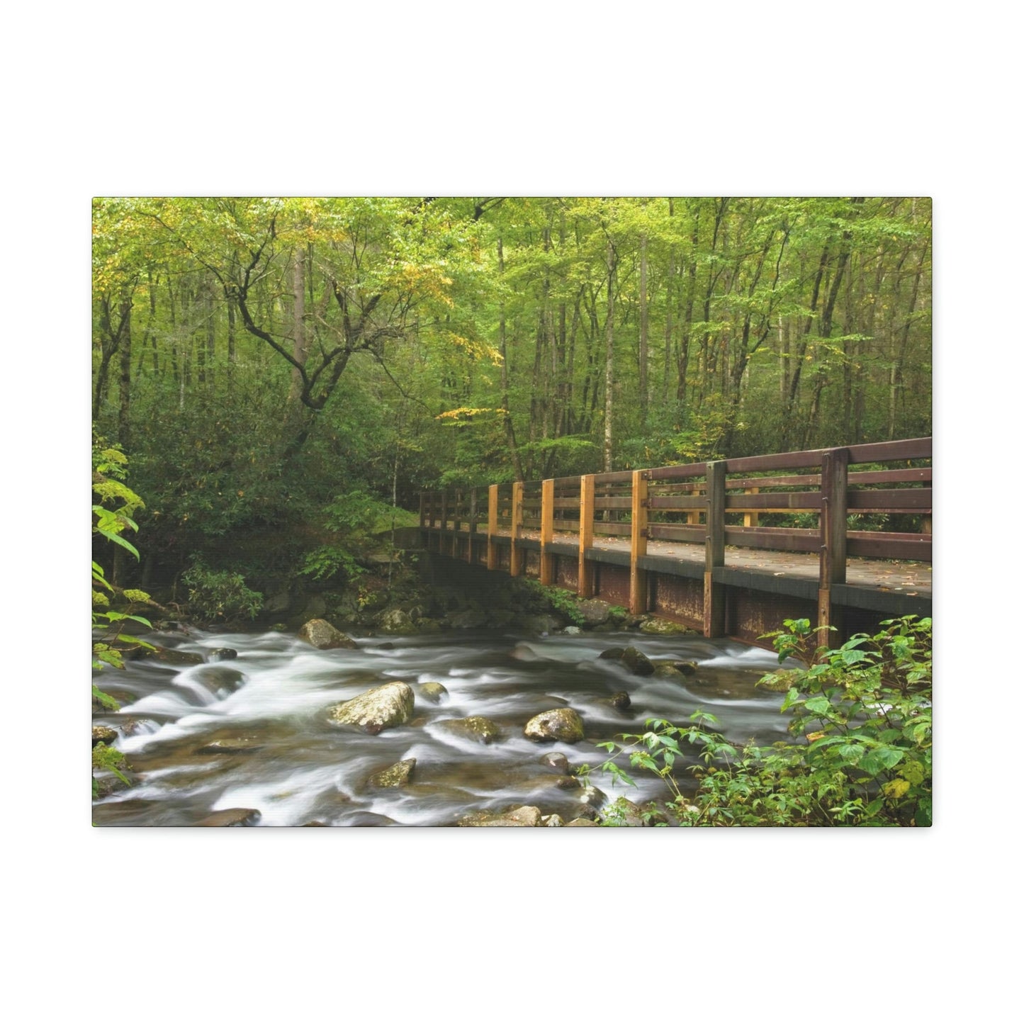 Canvas Gallery Wraps - Bridge over placid mountain stream in Smoky Mountain National Park in Summer in Mountain National Park (SMNP) USA - Green Forest Home