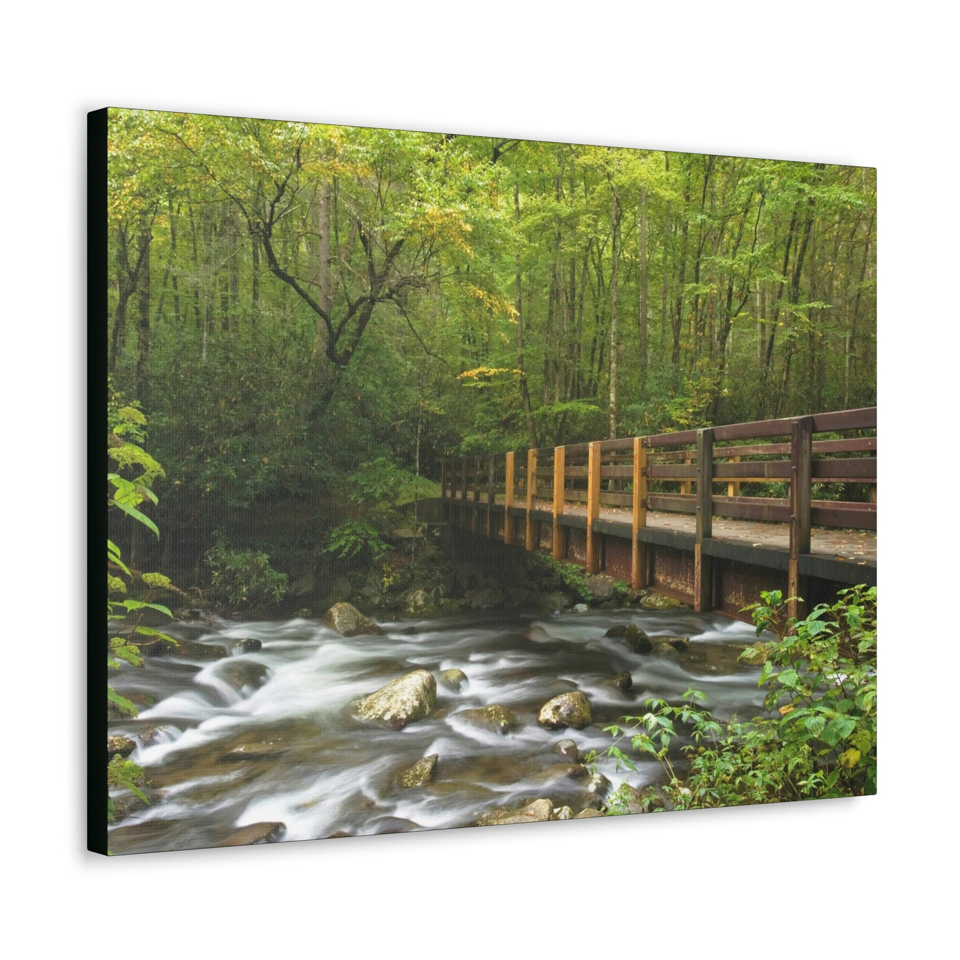 Canvas Gallery Wraps - Bridge over placid mountain stream in Smoky Mountain National Park in Summer in Mountain National Park (SMNP) USA - Green Forest Home