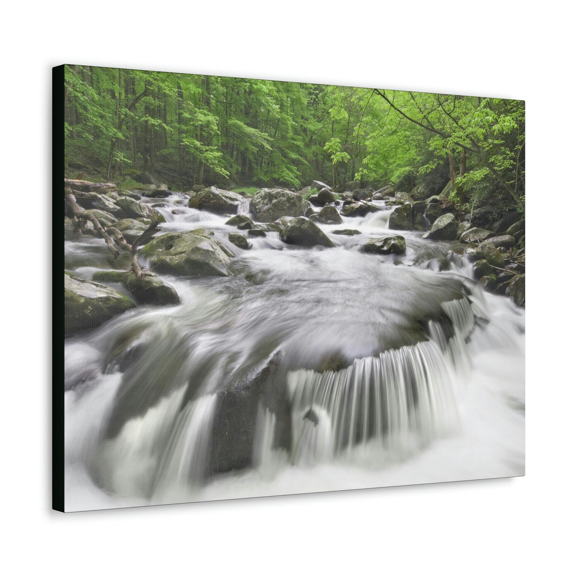 Canvas Gallery Wraps - Middle Prong Little River in Smoky Mountain National Park in Summer in Mountain National Park (SMNP) USA - Green Forest Home