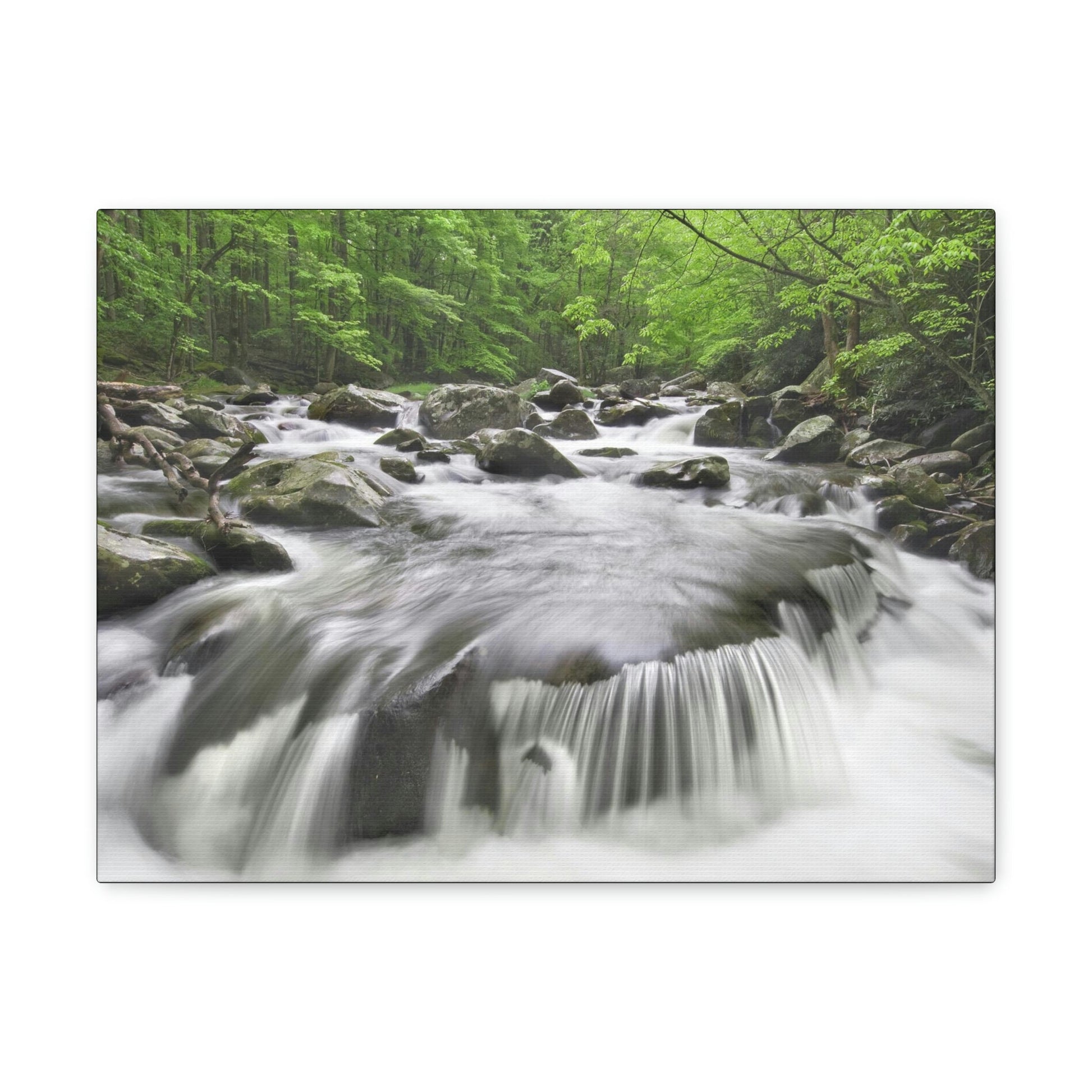 Canvas Gallery Wraps - Middle Prong Little River in Smoky Mountain National Park in Summer in Mountain National Park (SMNP) USA - Green Forest Home