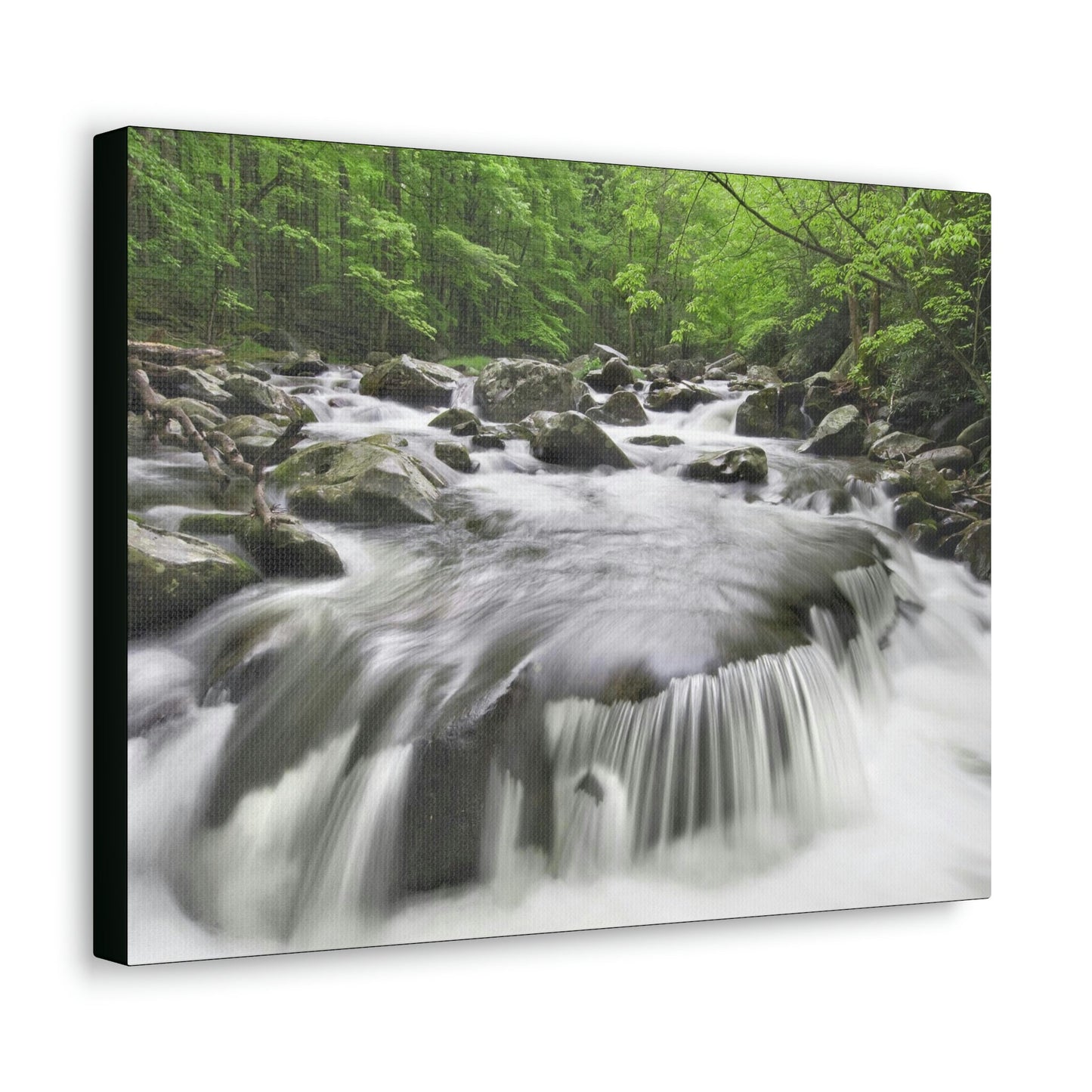 Canvas Gallery Wraps - Middle Prong Little River in Smoky Mountain National Park in Summer in Mountain National Park (SMNP) USA - Green Forest Home