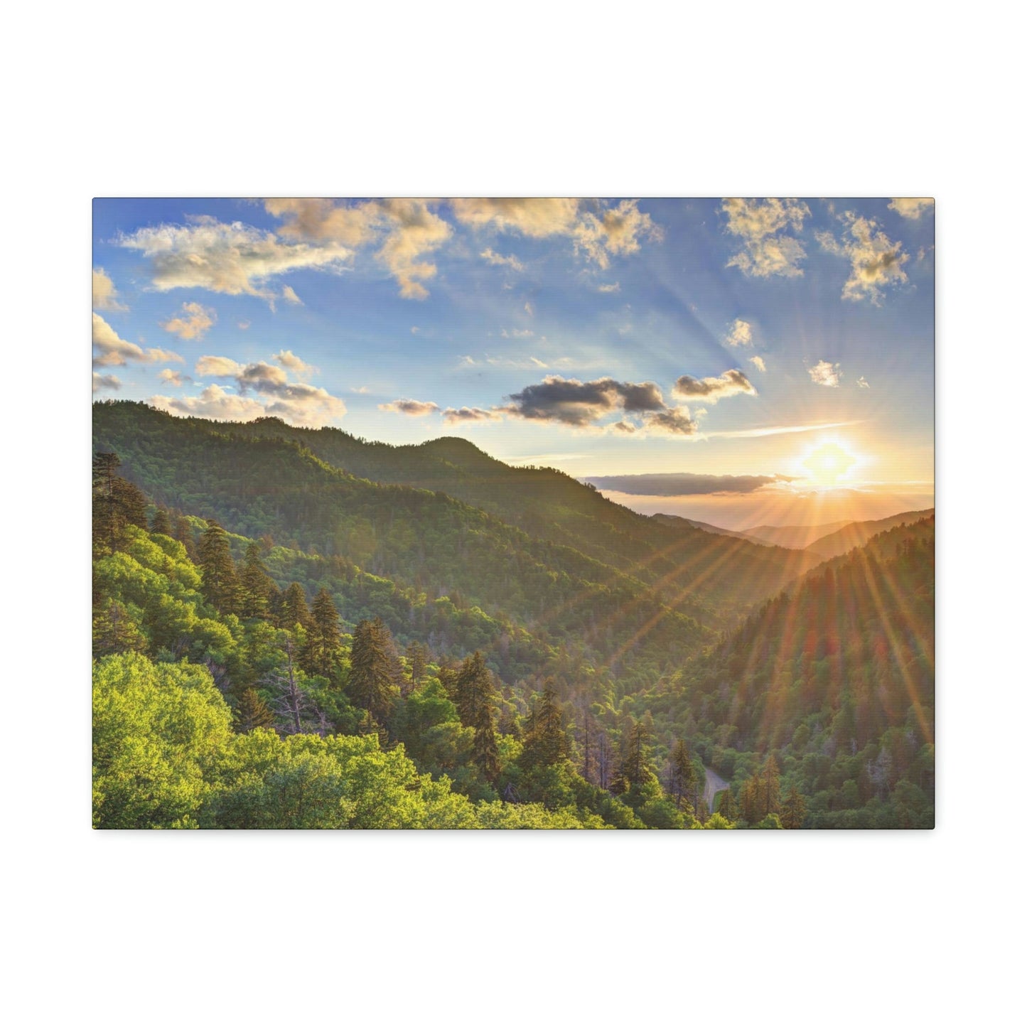 Canvas Gallery Wraps - Newfound Gap rays of a Holy day - in Smoky Mountain National Park in Summer in Mountain National Park (SMNP) USA - Green Forest Home