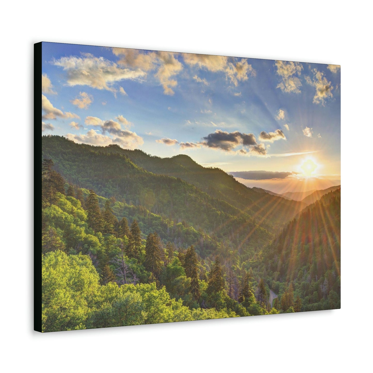 Canvas Gallery Wraps - Newfound Gap rays of a Holy day - in Smoky Mountain National Park in Summer in Mountain National Park (SMNP) USA - Green Forest Home