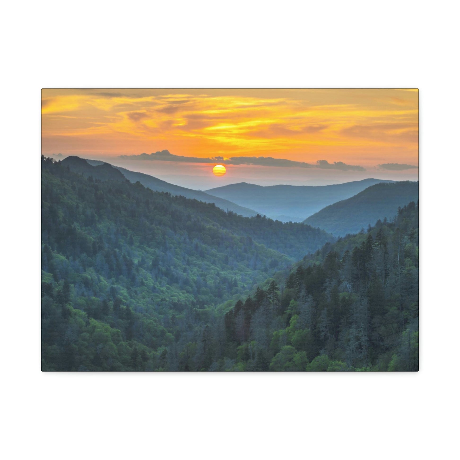 Canvas Gallery Wraps - Scenic Sunset Landscape - once in a lifetime view - in Smoky Mountain National Park in Summer in Mountain National Park (SMNP) USA - Green Forest Home