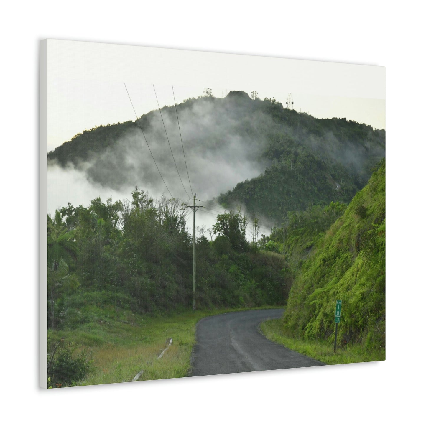 Canvas Gallery Wraps - The mystery land - the TOP of Puerto Rico at 4,000 feet - PR 143 - Cerro Puntas - Green Forest Home