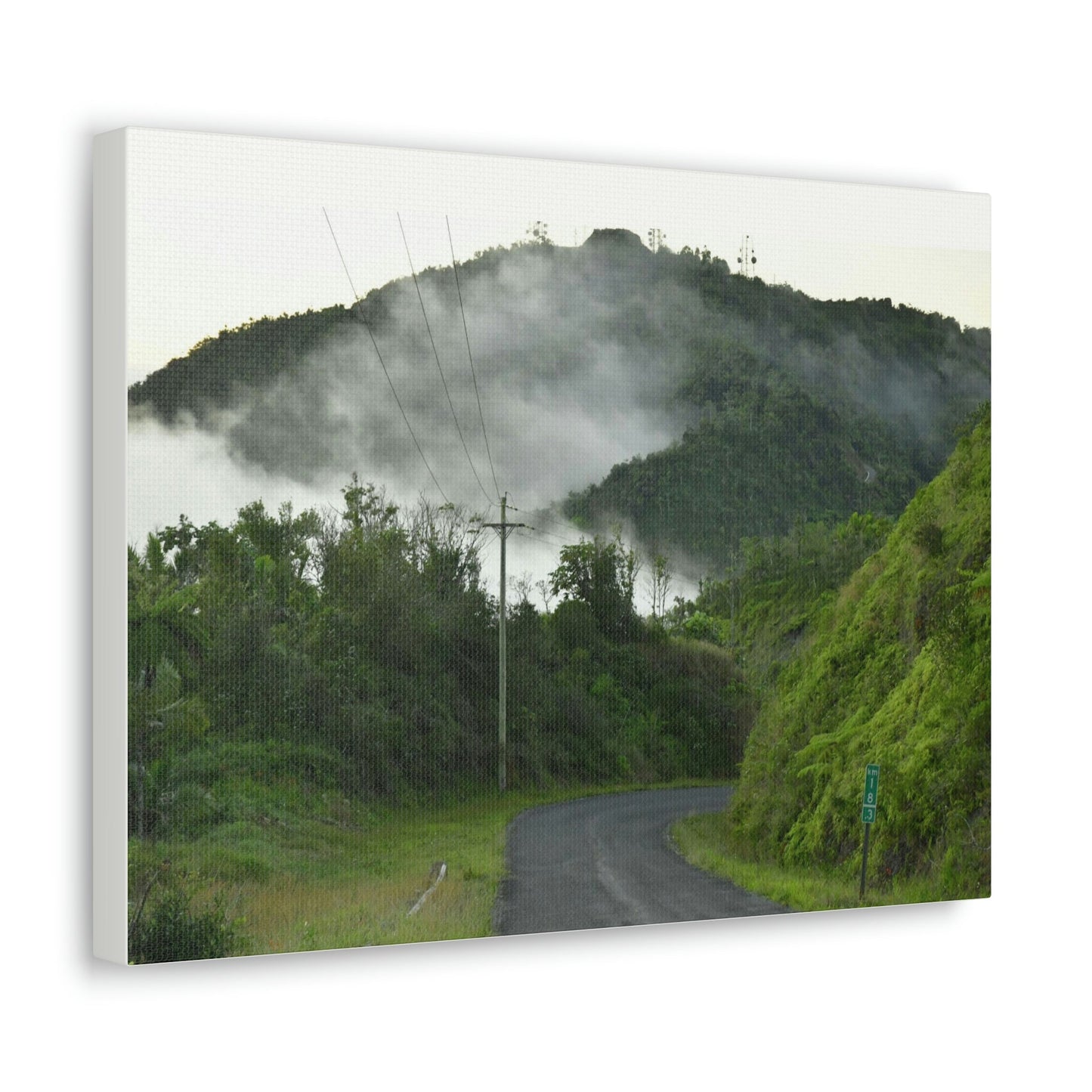 Canvas Gallery Wraps - The mystery land - the TOP of Puerto Rico at 4,000 feet - PR 143 - Cerro Puntas - Green Forest Home