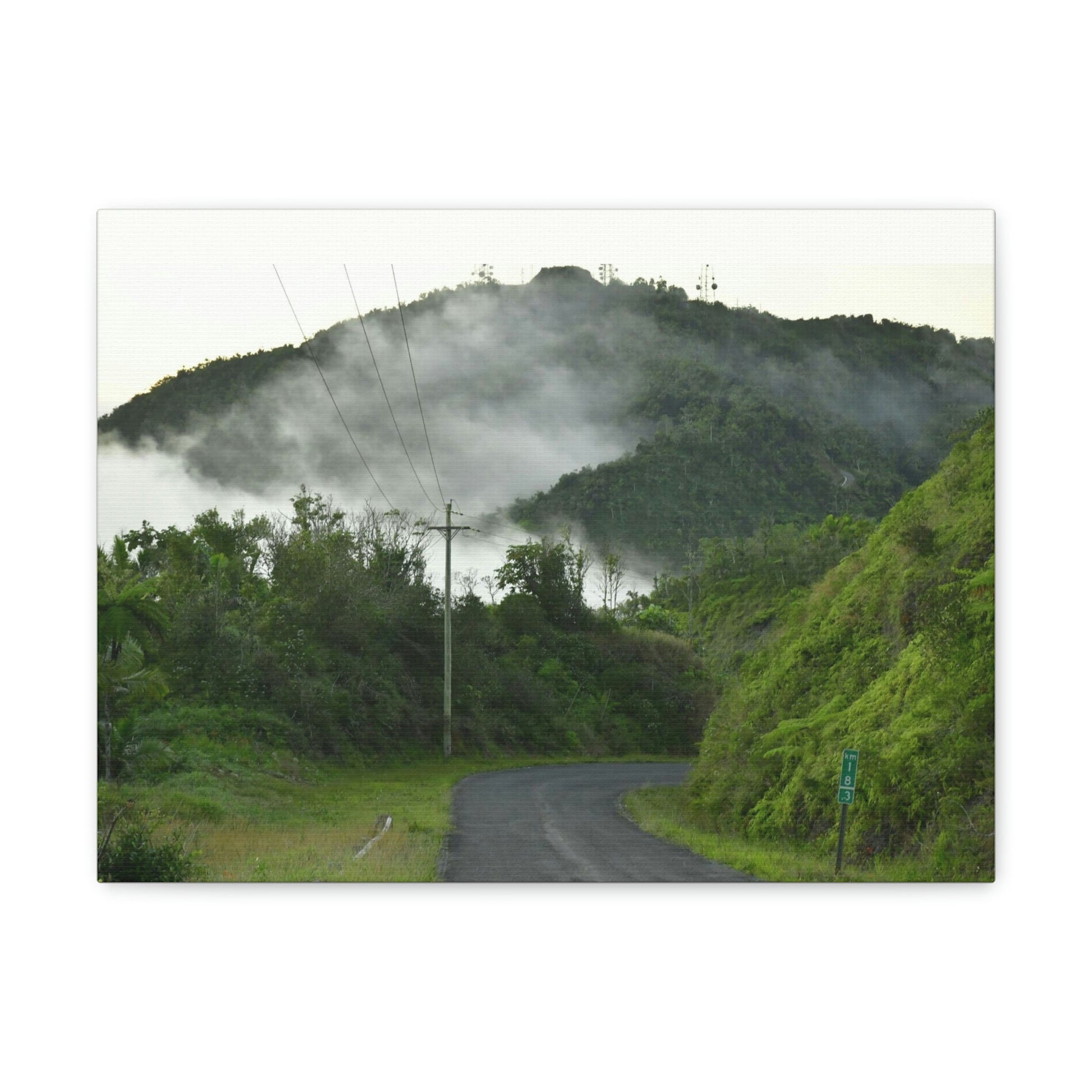 Canvas Gallery Wraps - The mystery land - the TOP of Puerto Rico at 4,000 feet - PR 143 - Cerro Puntas - Green Forest Home