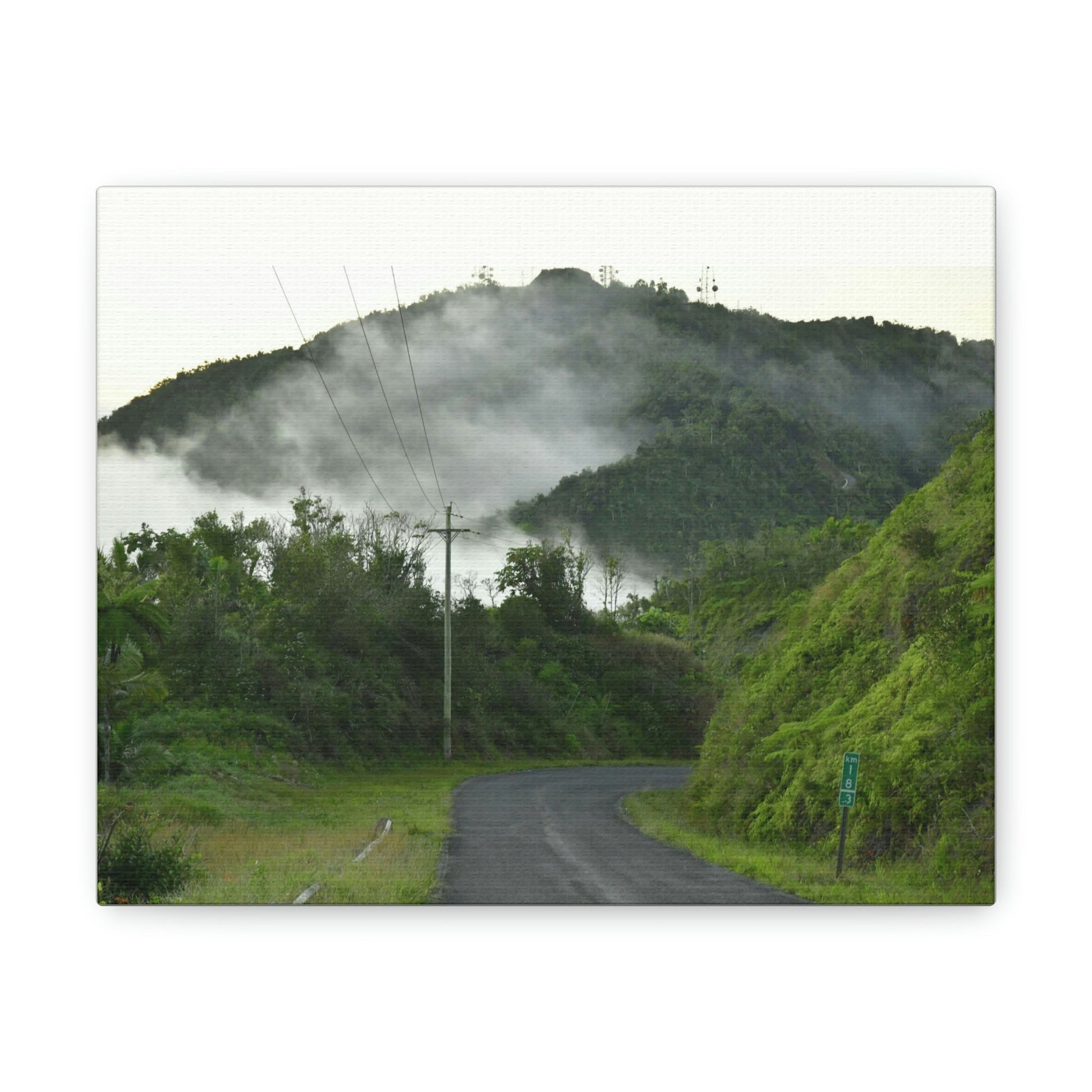 Canvas Gallery Wraps - The mystery land - the TOP of Puerto Rico at 4,000 feet - PR 143 - Cerro Puntas - Green Forest Home