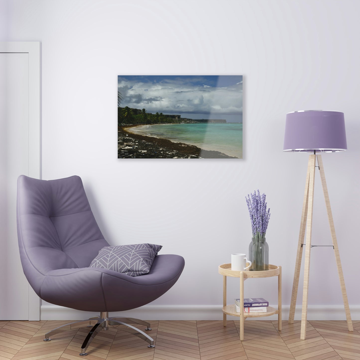 Acrylic Prints - US Made - Ideal for a Stunning Home Decor Ideas - Inspirations -  Remote Mona island Broad View of Pajaros beach & Limestone Plateau