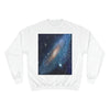 Champion Sweatshirt - NASA/HUBBLE achievements - image of our closest Galaxy ANDROMEDA (2.5M light years) - same image both sides - Green Forest Home