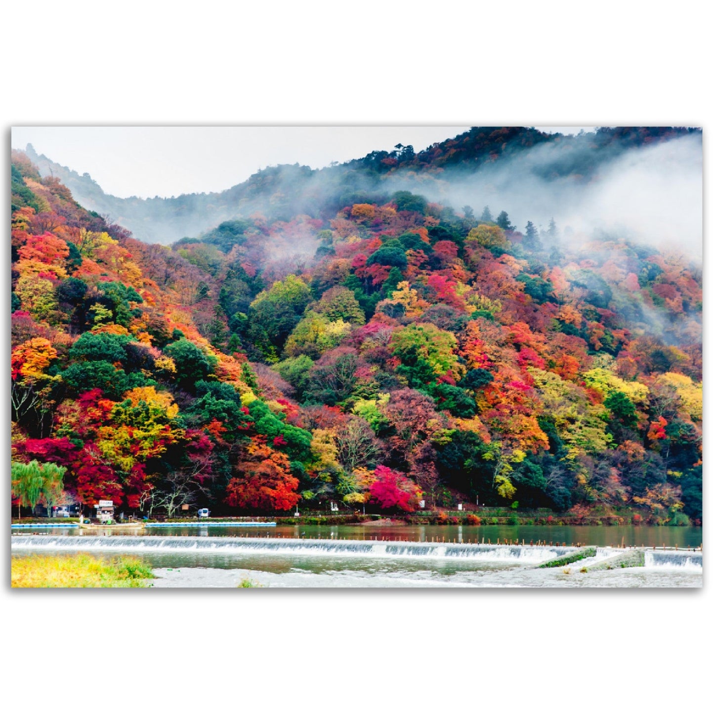 Classic Matte Paper Poster - Arashiyama in Autumn ,Kyoto - JAPAN - Green Forest Home