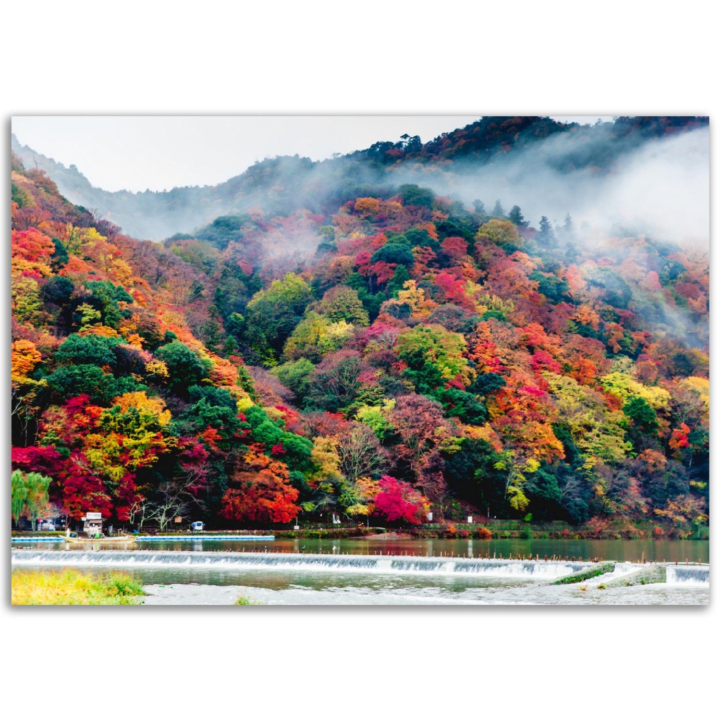 Classic Matte Paper Poster - Arashiyama in Autumn ,Kyoto - JAPAN - Green Forest Home