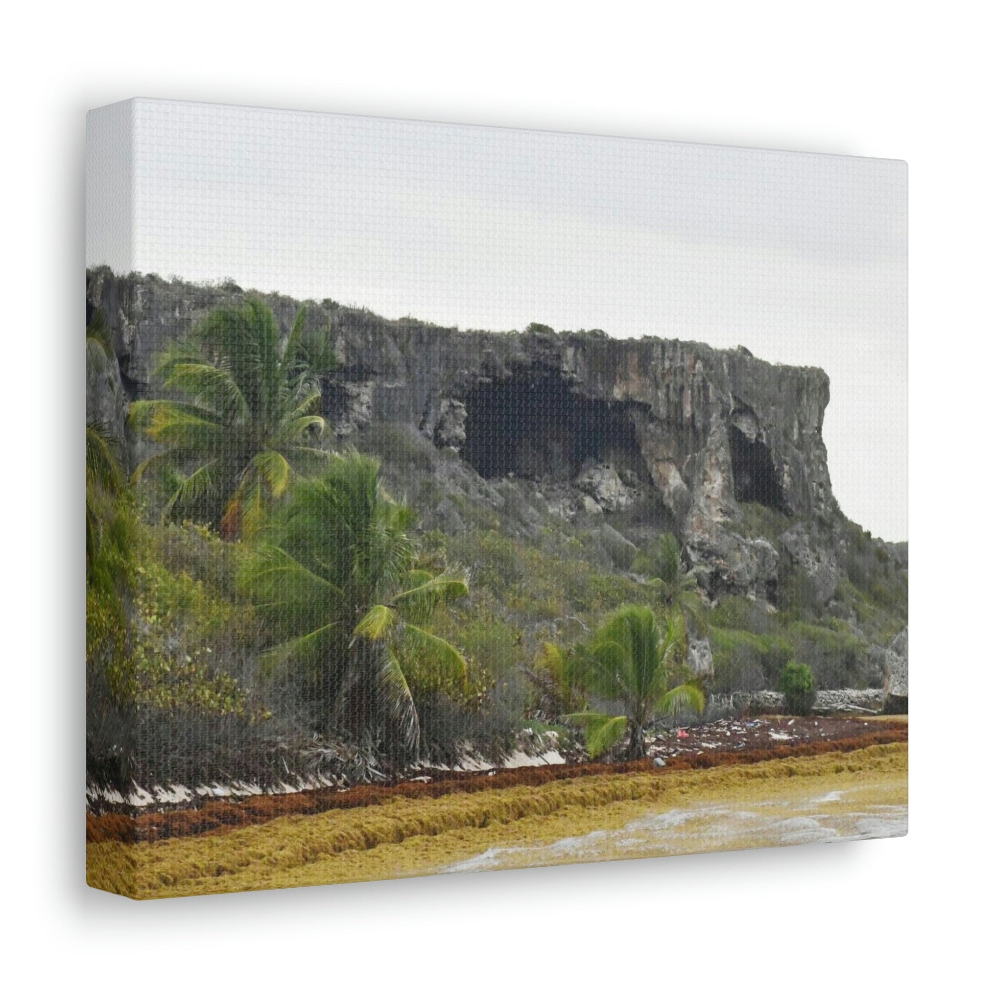 Clear view of huge awesome caves of Mona Island - Puerto Rico - the Galapagos of the Caribbean - in Pajaros beach - Green Forest Home