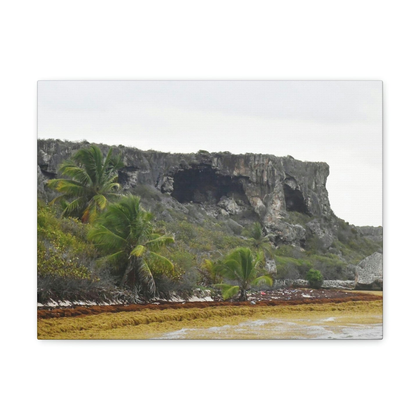 Clear view of huge awesome caves of Mona Island - Puerto Rico - the Galapagos of the Caribbean - in Pajaros beach - Green Forest Home