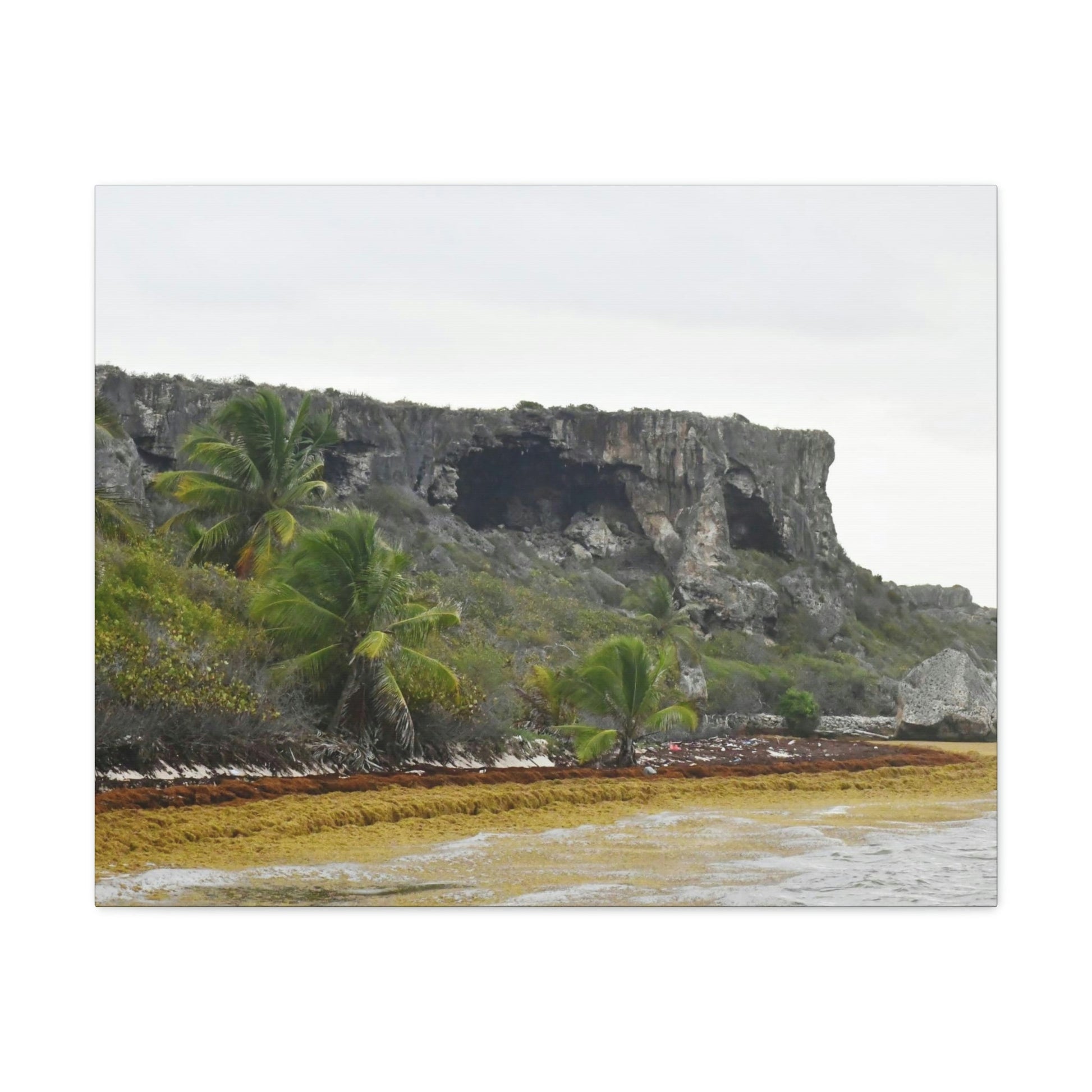 Clear view of huge awesome caves of Mona Island - Puerto Rico - the Galapagos of the Caribbean - in Pajaros beach - Green Forest Home