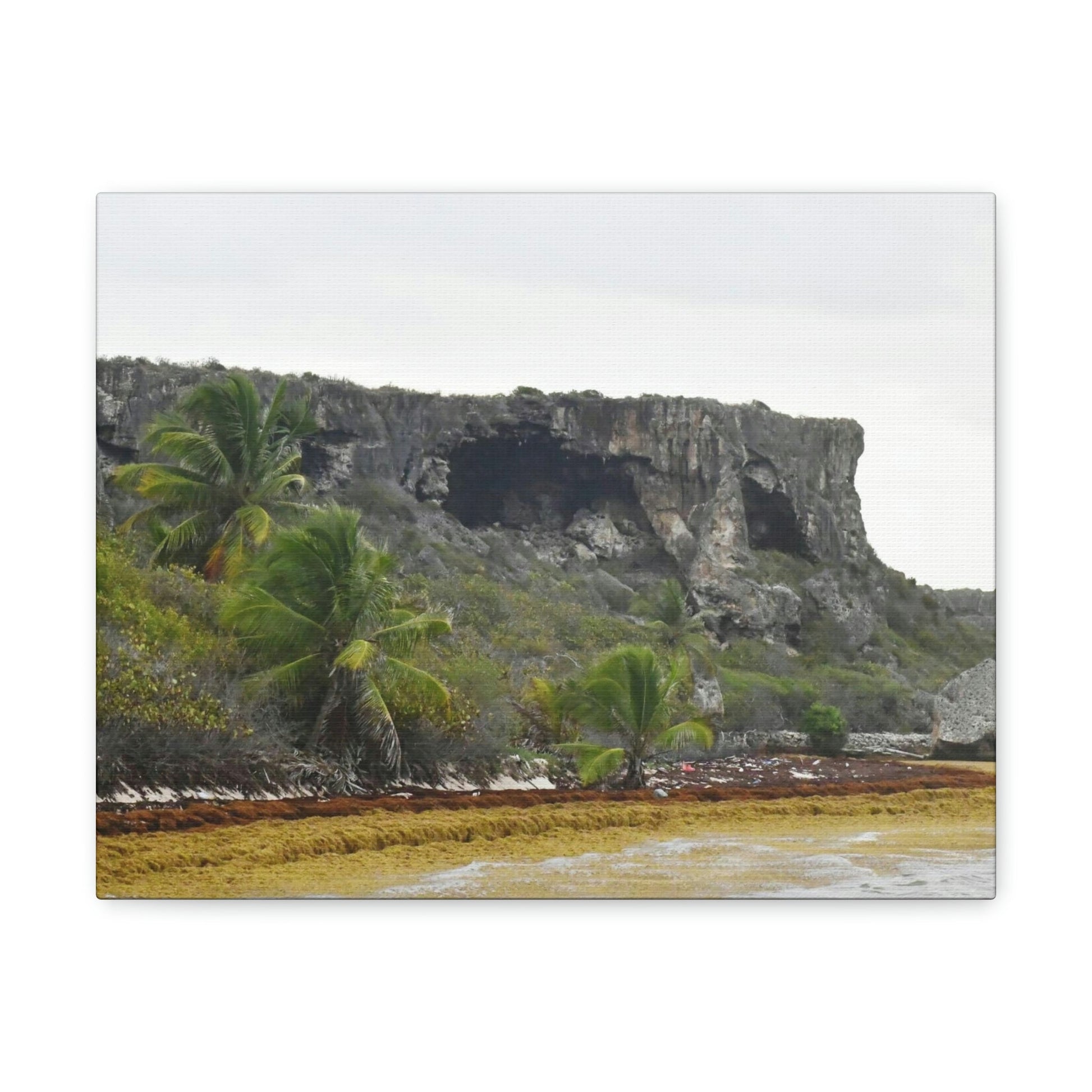 Clear view of huge awesome caves of Mona Island - Puerto Rico - the Galapagos of the Caribbean - in Pajaros beach - Green Forest Home