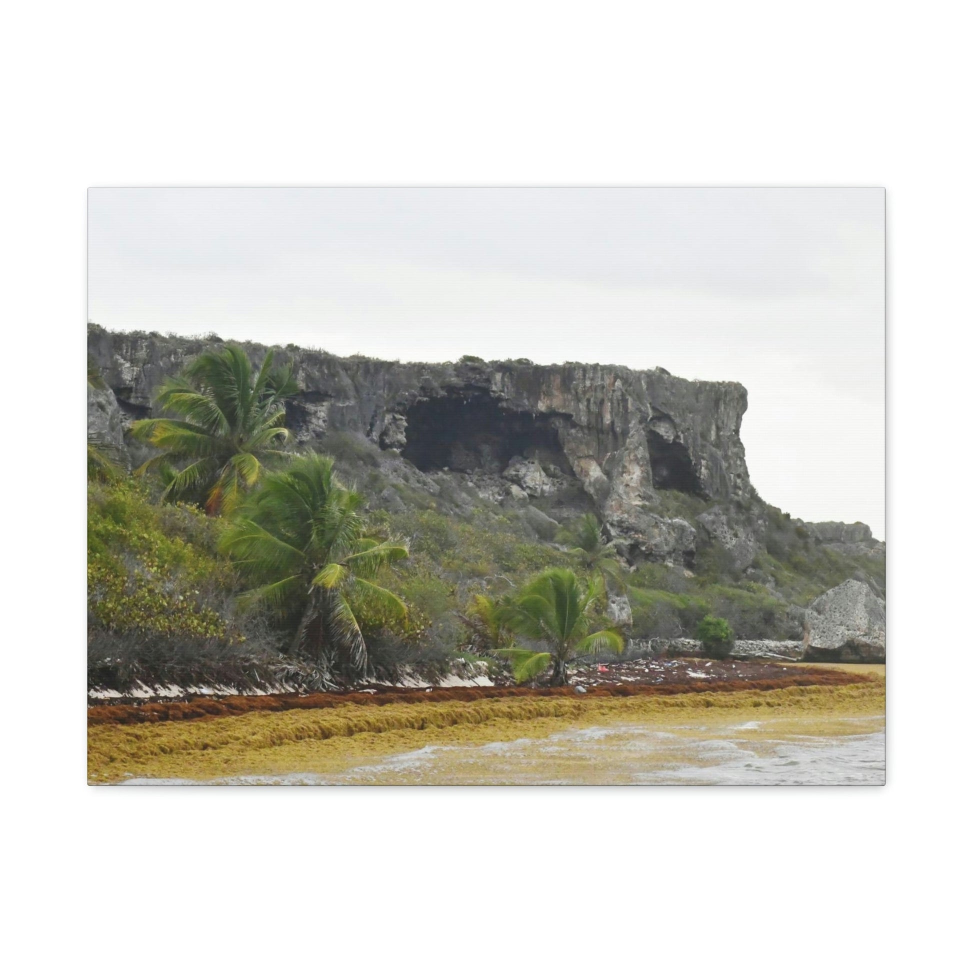 Clear view of huge awesome caves of Mona Island - Puerto Rico - the Galapagos of the Caribbean - in Pajaros beach - Green Forest Home