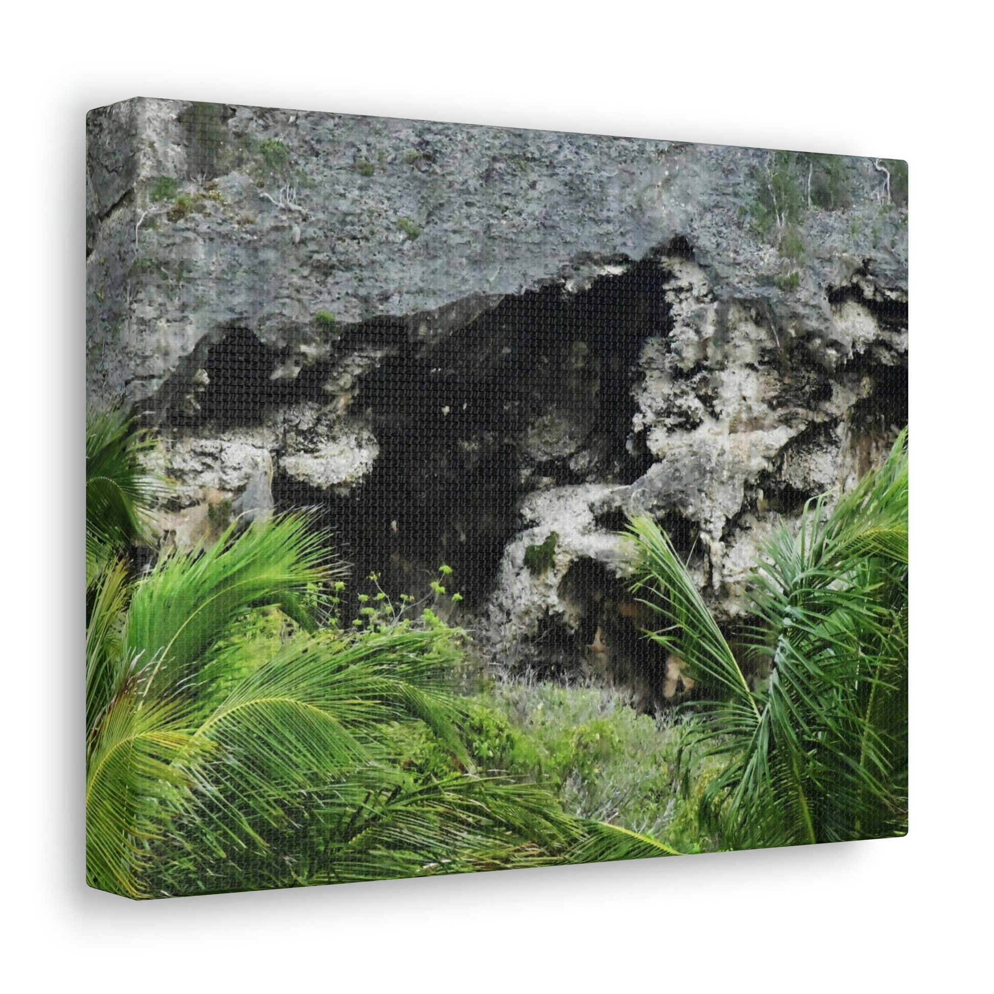 Closeup of Limestone plateau - Puerto Rico - the Galapagos of the Caribbean - in Pajaros beach - Green Forest Home