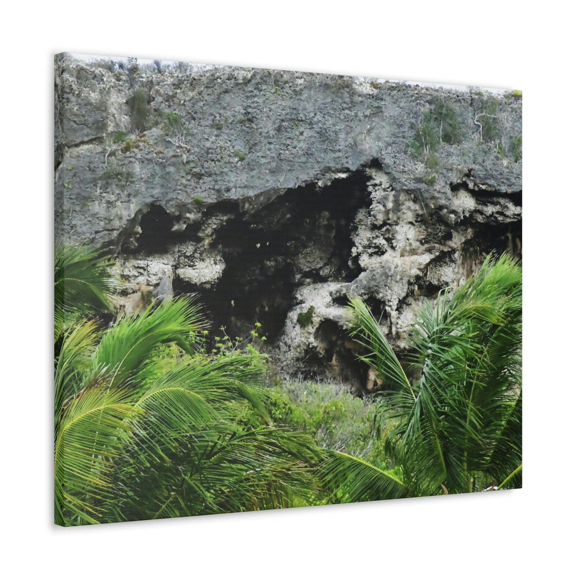 Closeup of Limestone plateau - Puerto Rico - the Galapagos of the Caribbean - in Pajaros beach - Green Forest Home