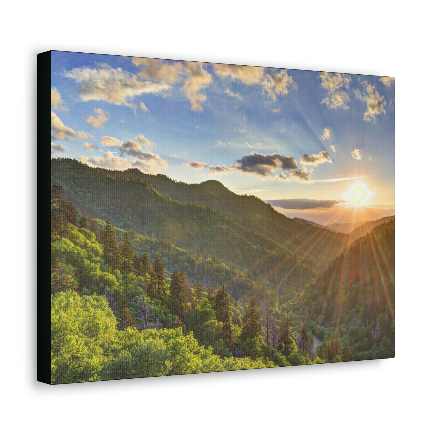 Canvas Gallery Wraps -  Newfound Gap rays of a Holy day -  in Smoky Mountain National Park in Summer in  Mountain National Park (SMNP) USA