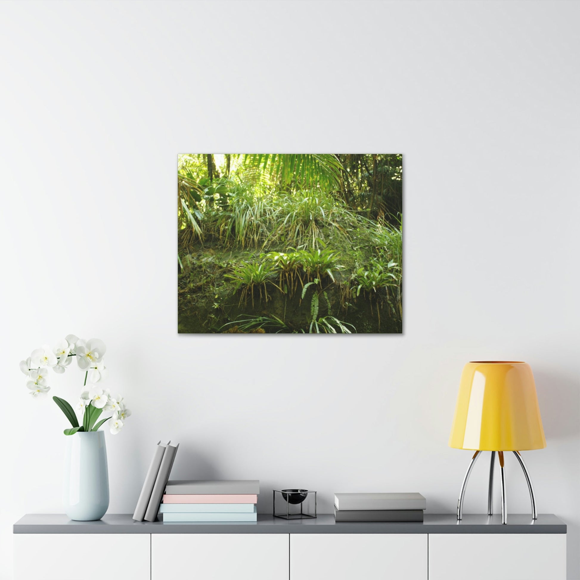 EYNF - Canvas Gallery Wraps - A Large Boulder in the Holy Spirit river exploration covered with bromeliads, ferns and moss - Green Forest Home