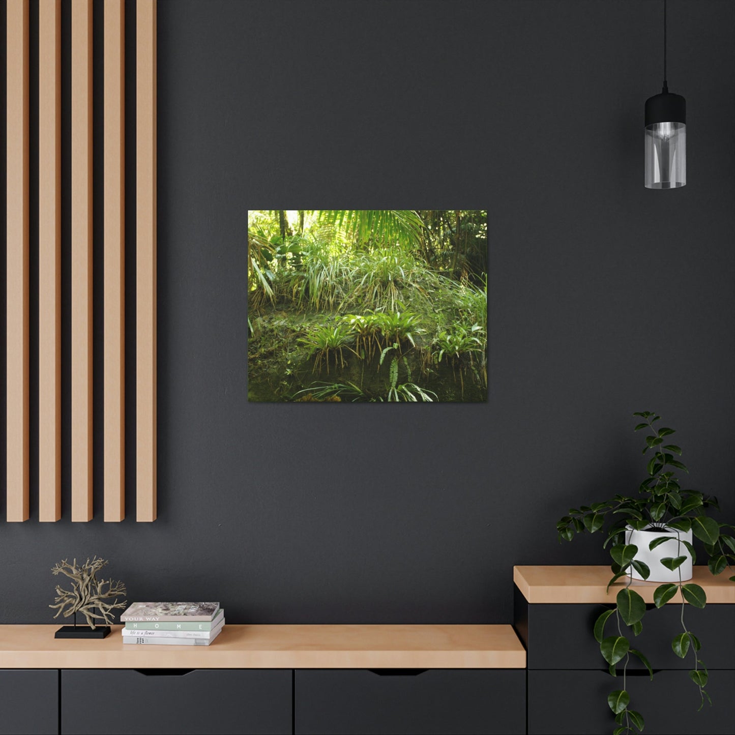 EYNF - Canvas Gallery Wraps - A Large Boulder in the Holy Spirit river exploration covered with bromeliads, ferns and moss - Green Forest Home