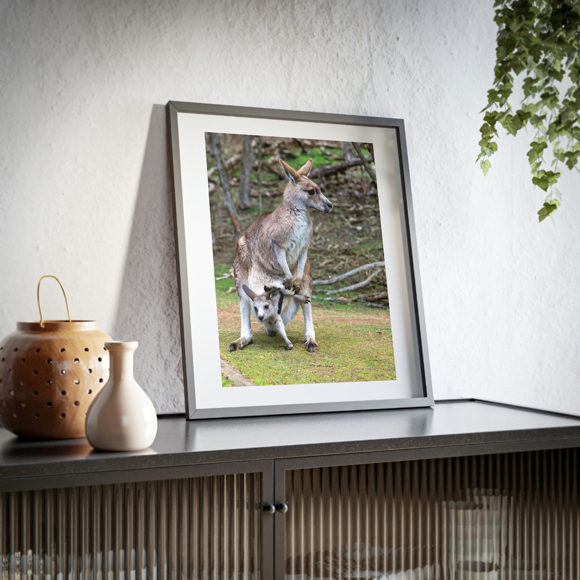 Framed Posters, Matte - Printed in Australia by Prima Printing - Hugging Kangaroos - Australia - Green Forest Home