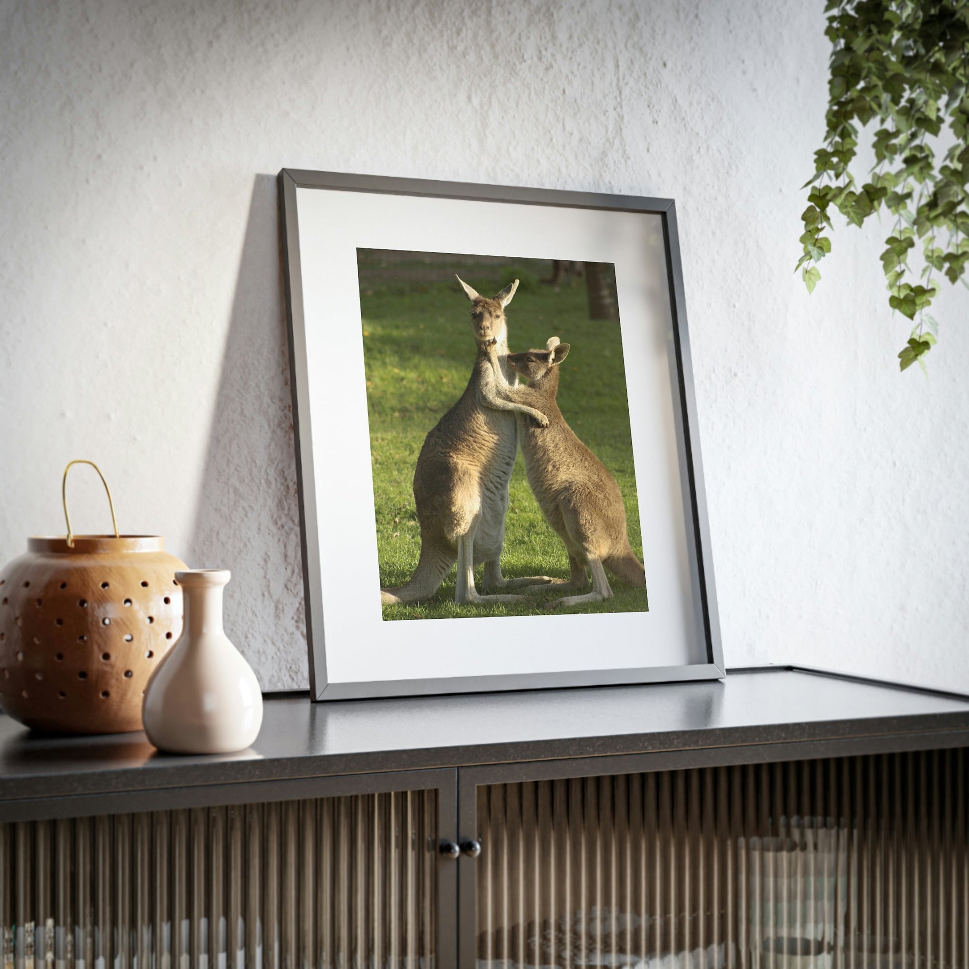 Framed Posters, Matte - Printed in Australia by Prima Printing - Hugging Kangaroos - Australia - Green Forest Home