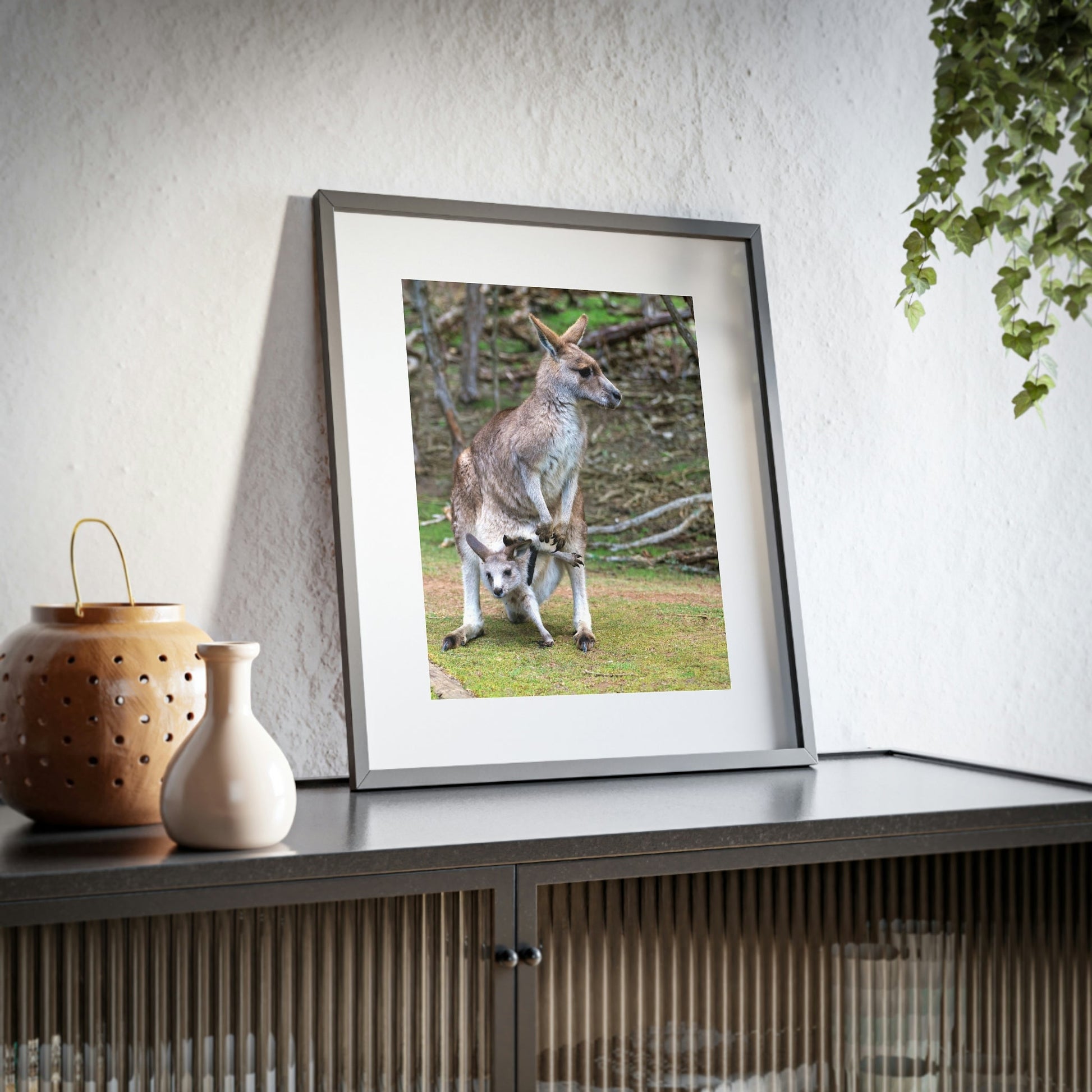 Framed Posters, Matte - Printed in Australia by Prima Printing - Hugging Kangaroos - Australia - Green Forest Home