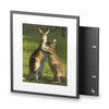 Framed Posters, Matte - Printed in Australia by Prima Printing - Hugging Kangaroos - Australia - Green Forest Home