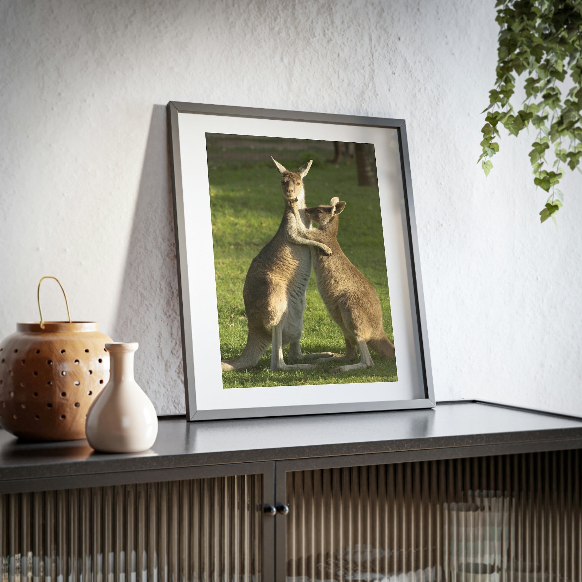 Framed Posters, Matte - Printed in Australia by Prima Printing - Hugging Kangaroos - Australia - Green Forest Home