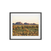 Framed Posters, Matte - Printed in Australia by Prima Printing - Sunrise over the domes of Kata Tjuta (The Olgas) at Uluru-Kata Tjuta National park, Central Australia - Green Forest Home