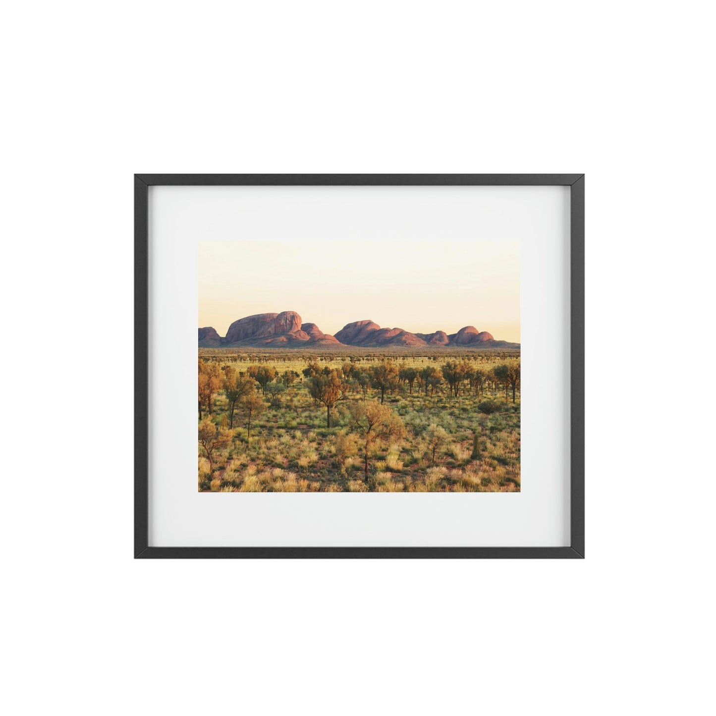 Framed Posters, Matte - Printed in Australia by Prima Printing - Sunrise over the domes of Kata Tjuta (The Olgas) at Uluru-Kata Tjuta National park, Central Australia - Green Forest Home