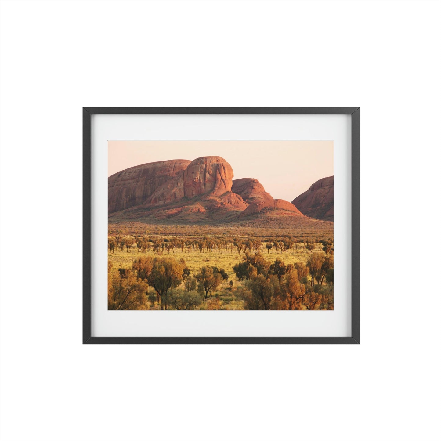 Framed Posters, Matte - Printed in Australia by Prima Printing - Sunrise over the domes of Kata Tjuta (The Olgas) at Uluru Kata Tjuta National park, Central Autralia - Green Forest Home