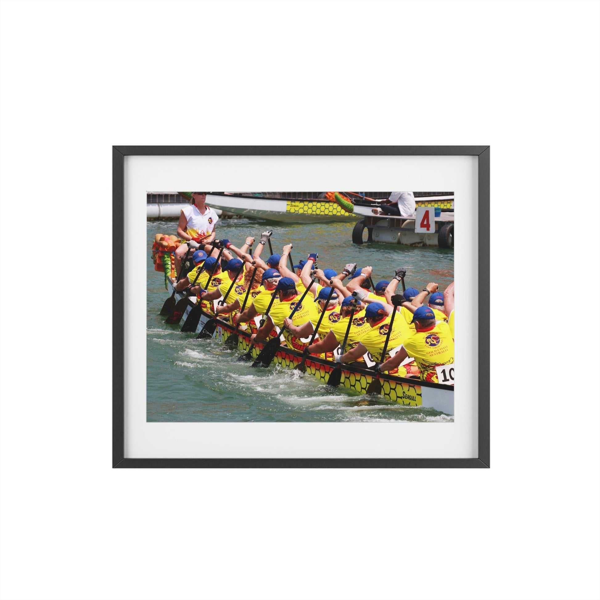 Framed Posters, Matte - Printed in Australia by Prima Printing - The Australia team paddling in Club Crew World Championships 2008 - Green Forest Home