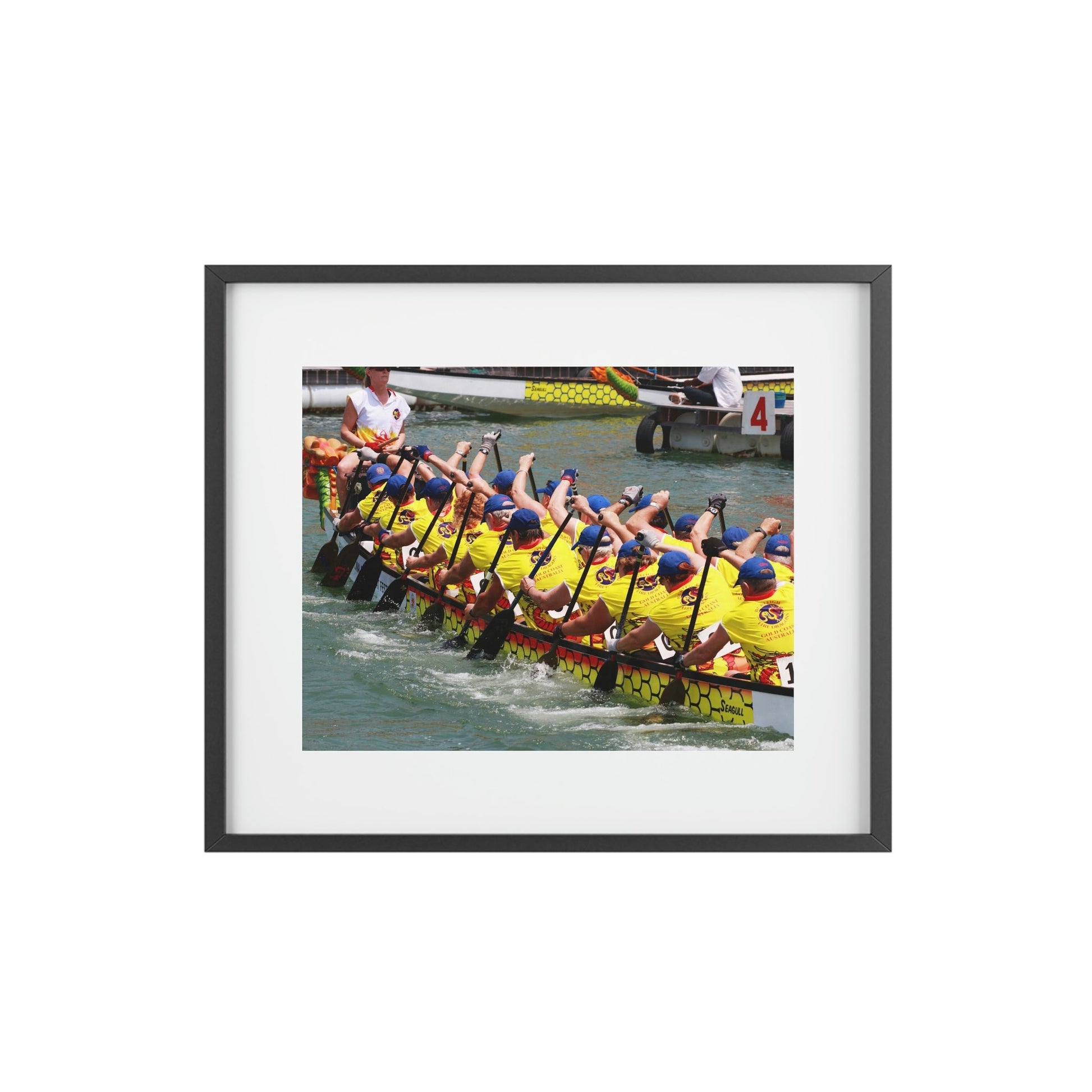 Framed Posters, Matte - Printed in Australia by Prima Printing - The Australia team paddling in Club Crew World Championships 2008 - Green Forest Home