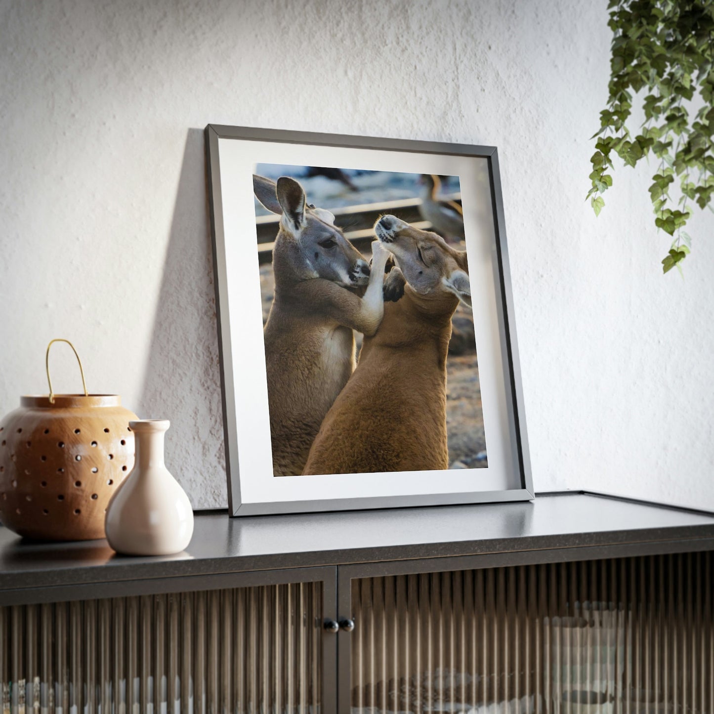 Framed Posters, Matte - Printed in Australia by Prima Printing - You Decide - Kangaroos Hugging, Playing or Fighting? - Australia - Green Forest Home