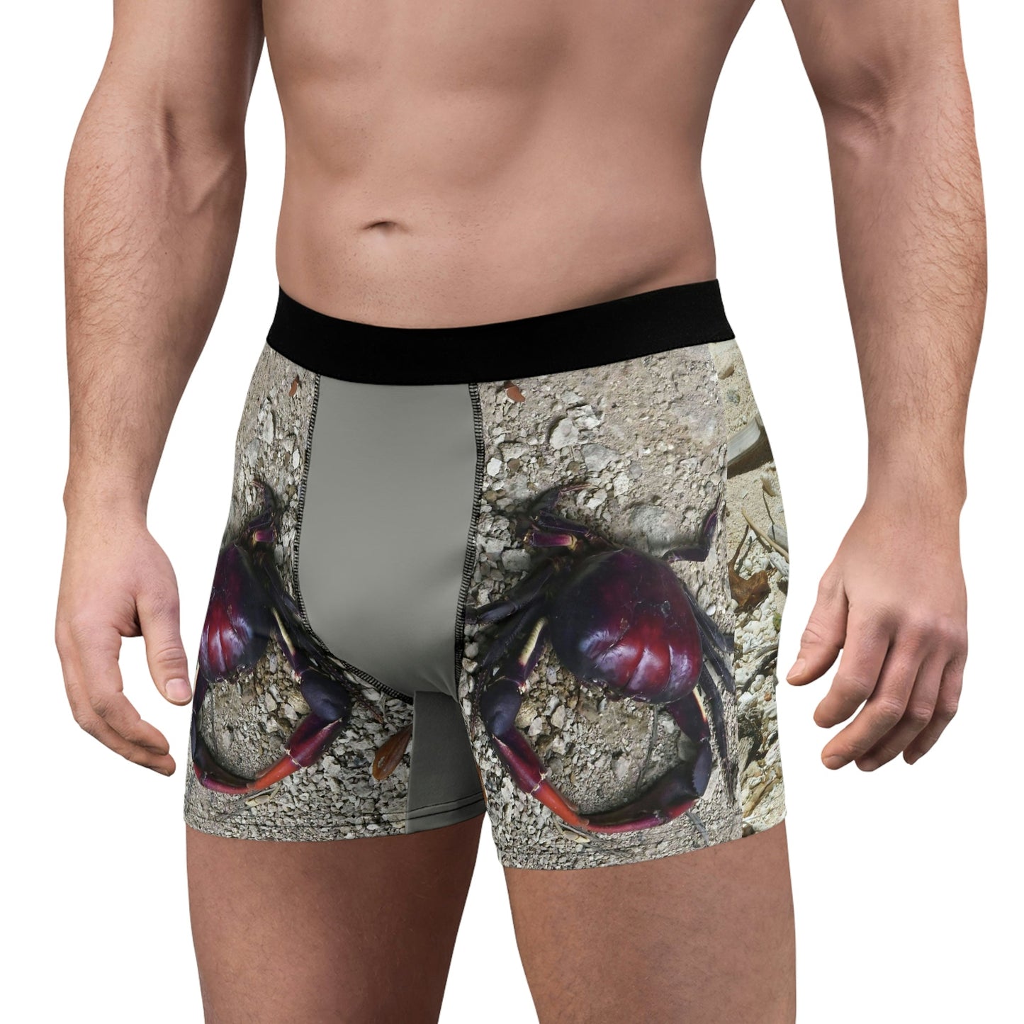 Men's Boxer Briefs - Awesome Mona island crab and beach shells and sticks - PR - Green Forest Home