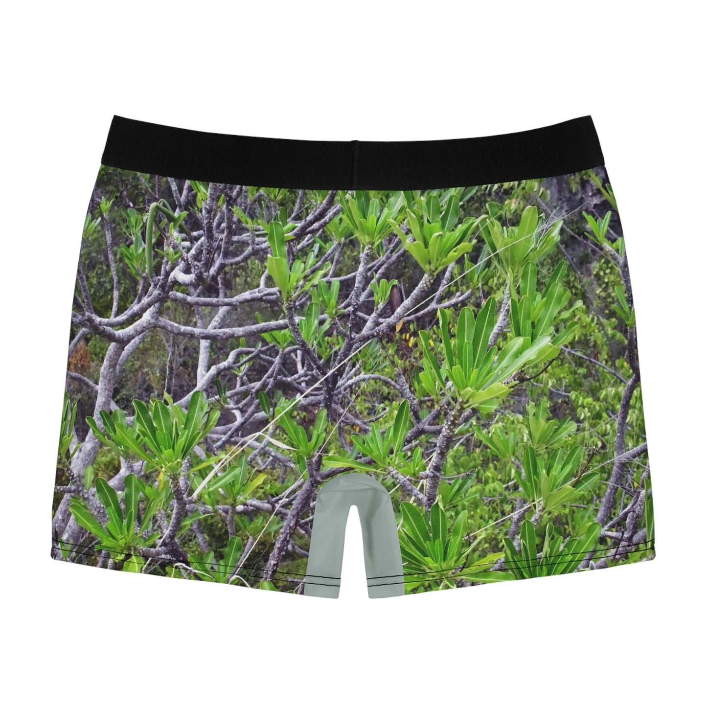 Men's Boxer Briefs - Mona Coconut palm branches - back beach plants - Mona PR - Green Forest Home