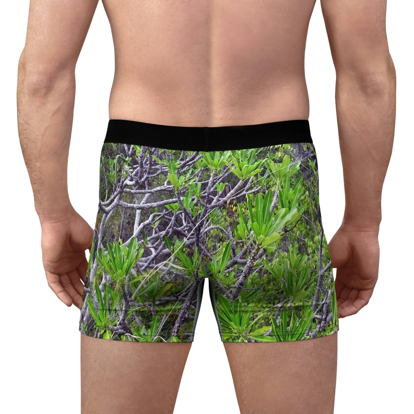 Men's Boxer Briefs - Mona Coconut palm branches - back beach plants - Mona PR - Green Forest Home