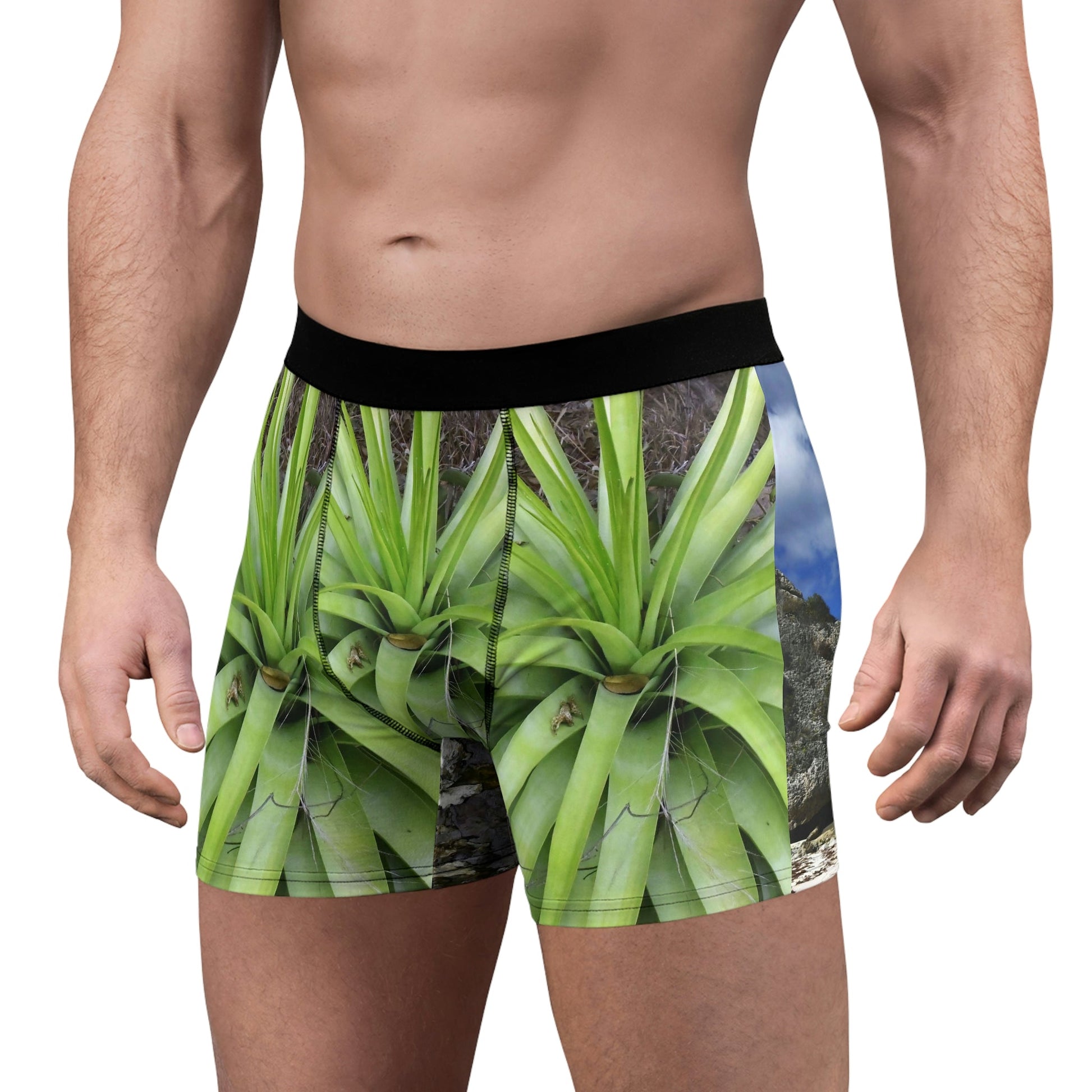 Men's Boxer Briefs - Mona Island PR bromeliad and awesome beach on back - Green Forest Home