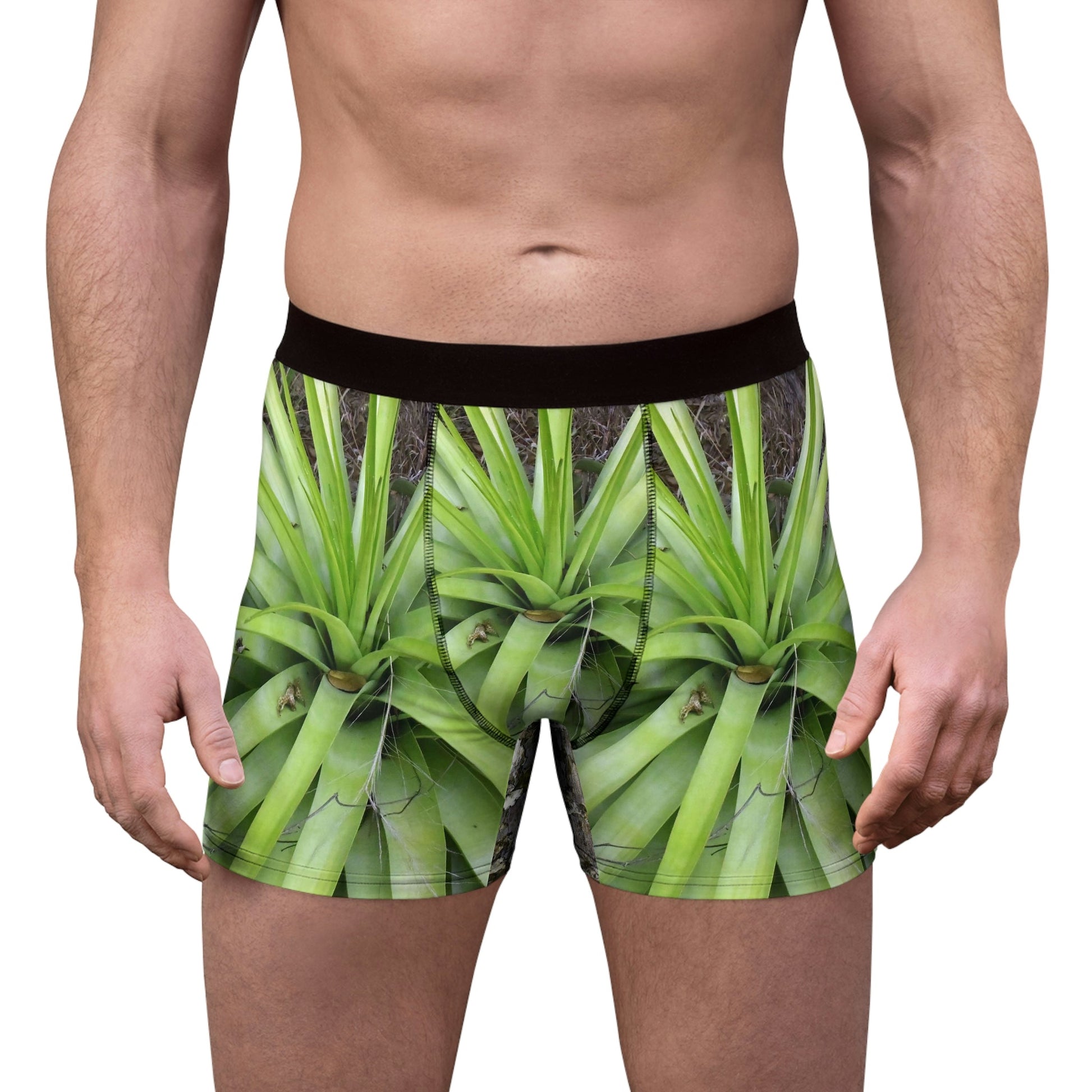 Men's Boxer Briefs - Mona Island PR bromeliad and awesome beach on back - Green Forest Home