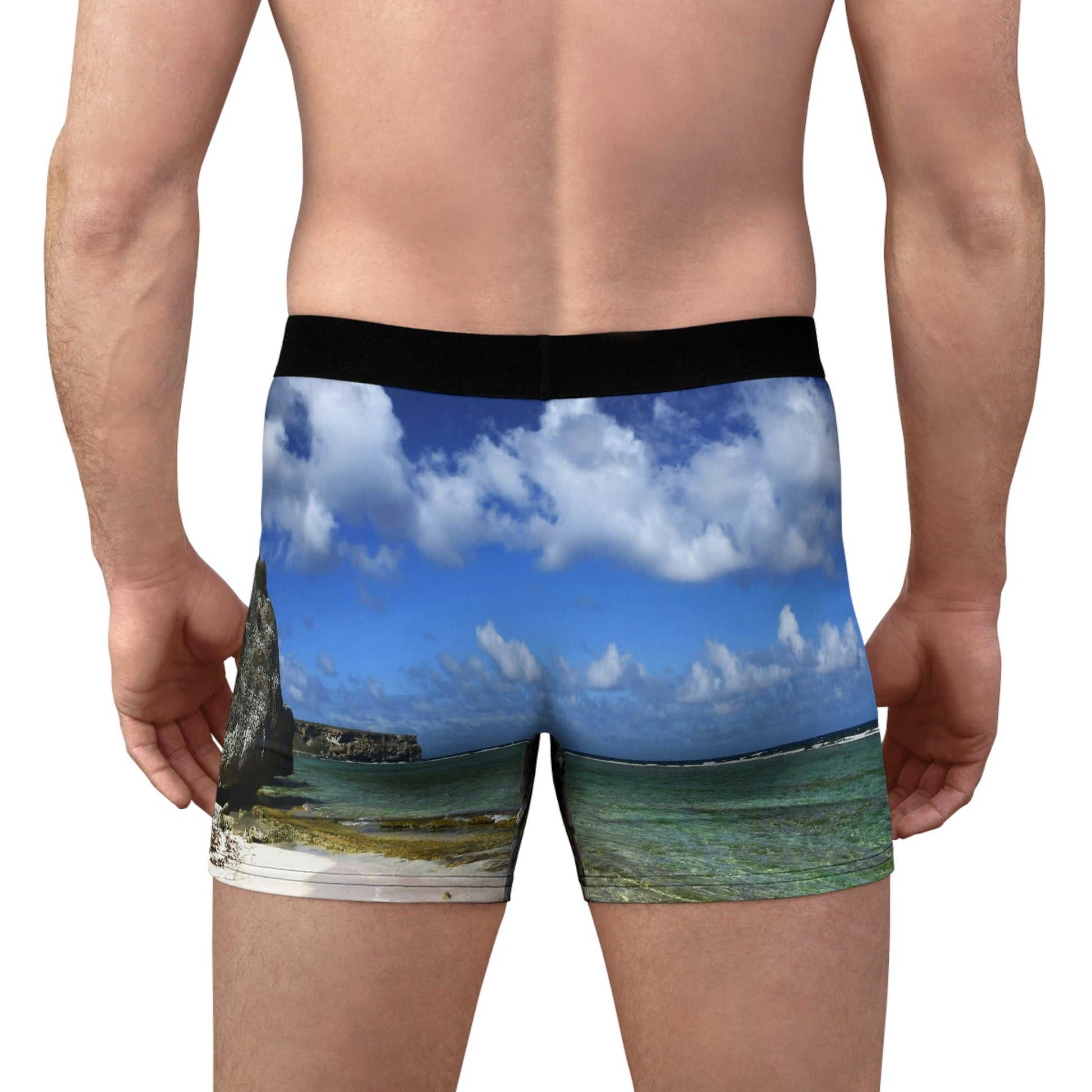 Men's Boxer Briefs - Mona Island PR bromeliad and awesome beach on back - Green Forest Home